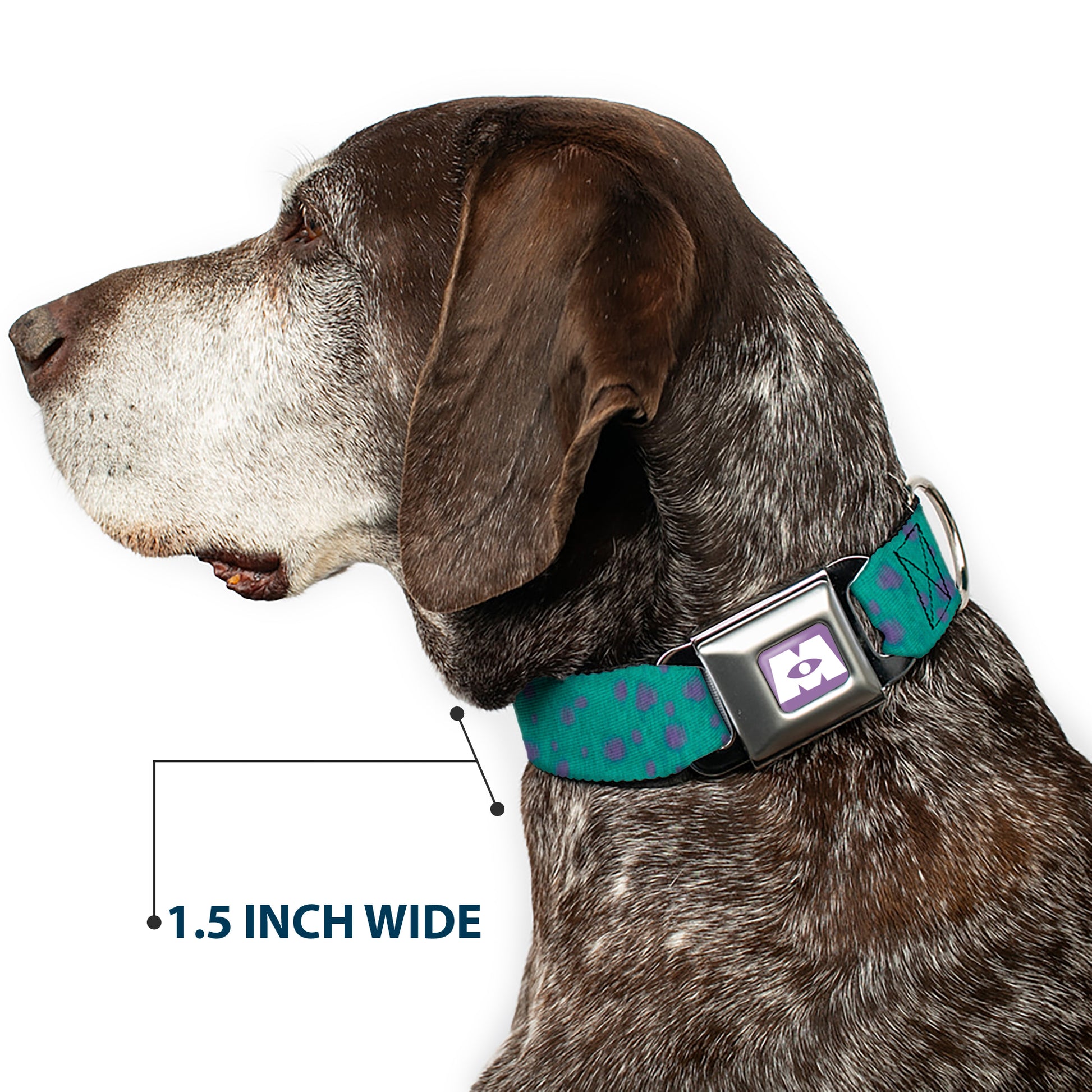 Monsters Inc. Icon Full Color Purple/White Seatbelt Buckle Collar - Monsters Inc. Sulley Bounding Spots Blue/Purple Seatbelt Buckle Collars Disney