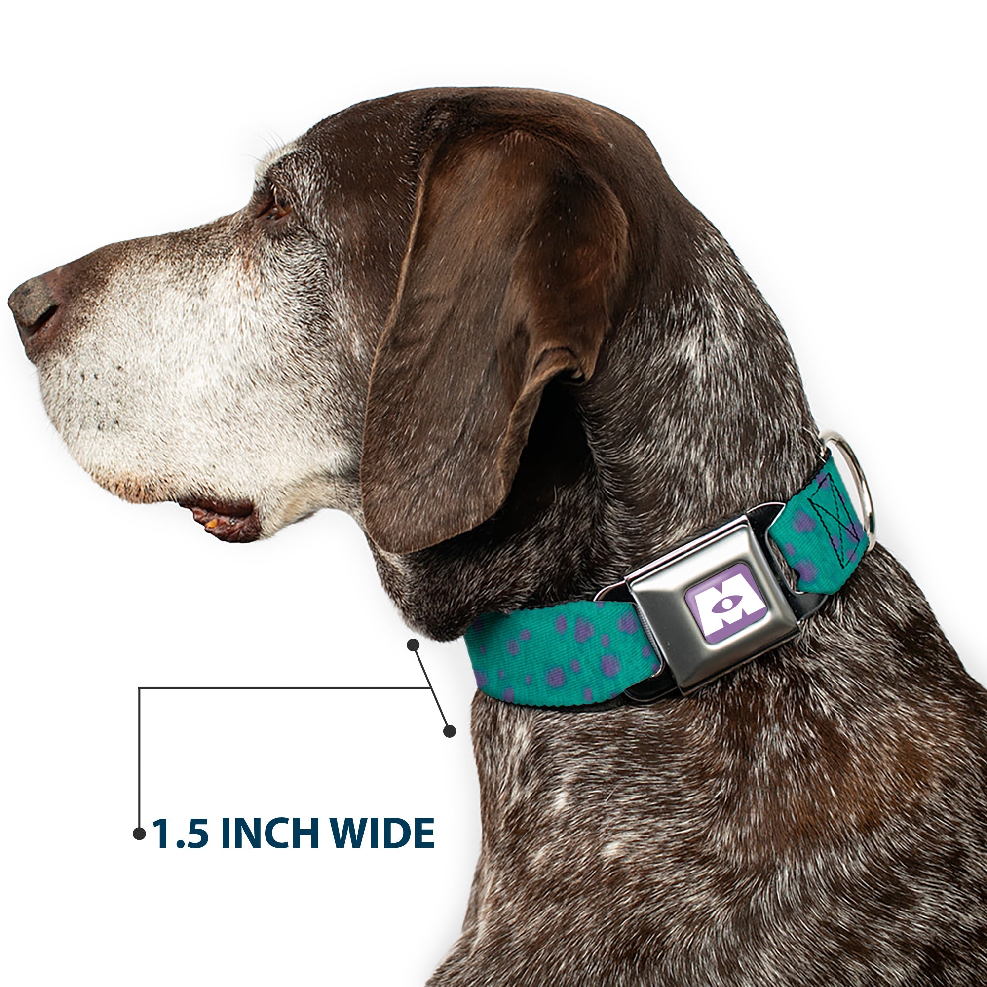 Monsters Inc. Icon Full Color Purple/White Seatbelt Buckle Collar - Monsters Inc. Sulley Bounding Spots Blue/Purple Seatbelt Buckle Collars Disney