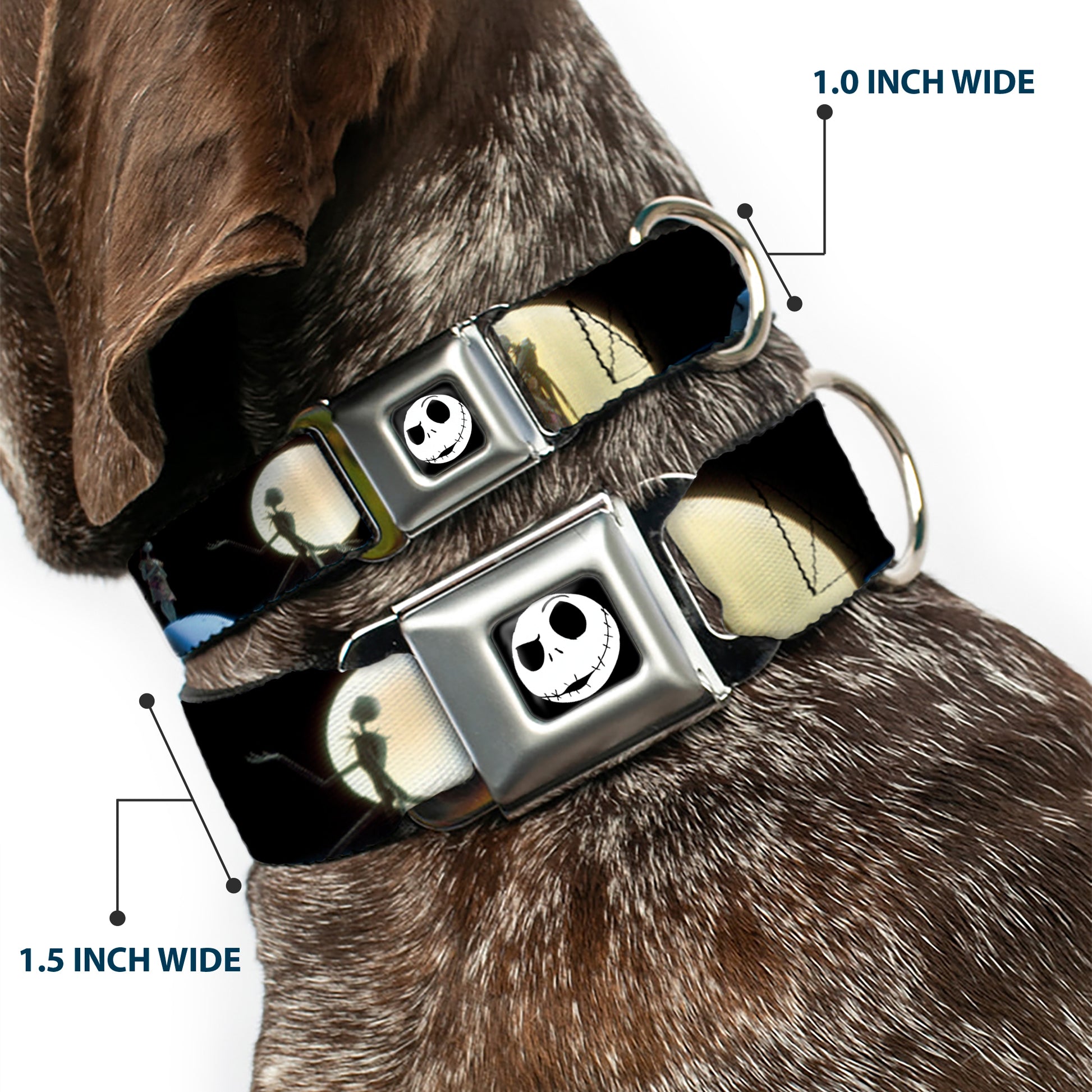 Jack Expression2 Full Color Seatbelt Buckle Collar - NBC Jack & Sally Moon Scenes Seatbelt Buckle Collars Disney