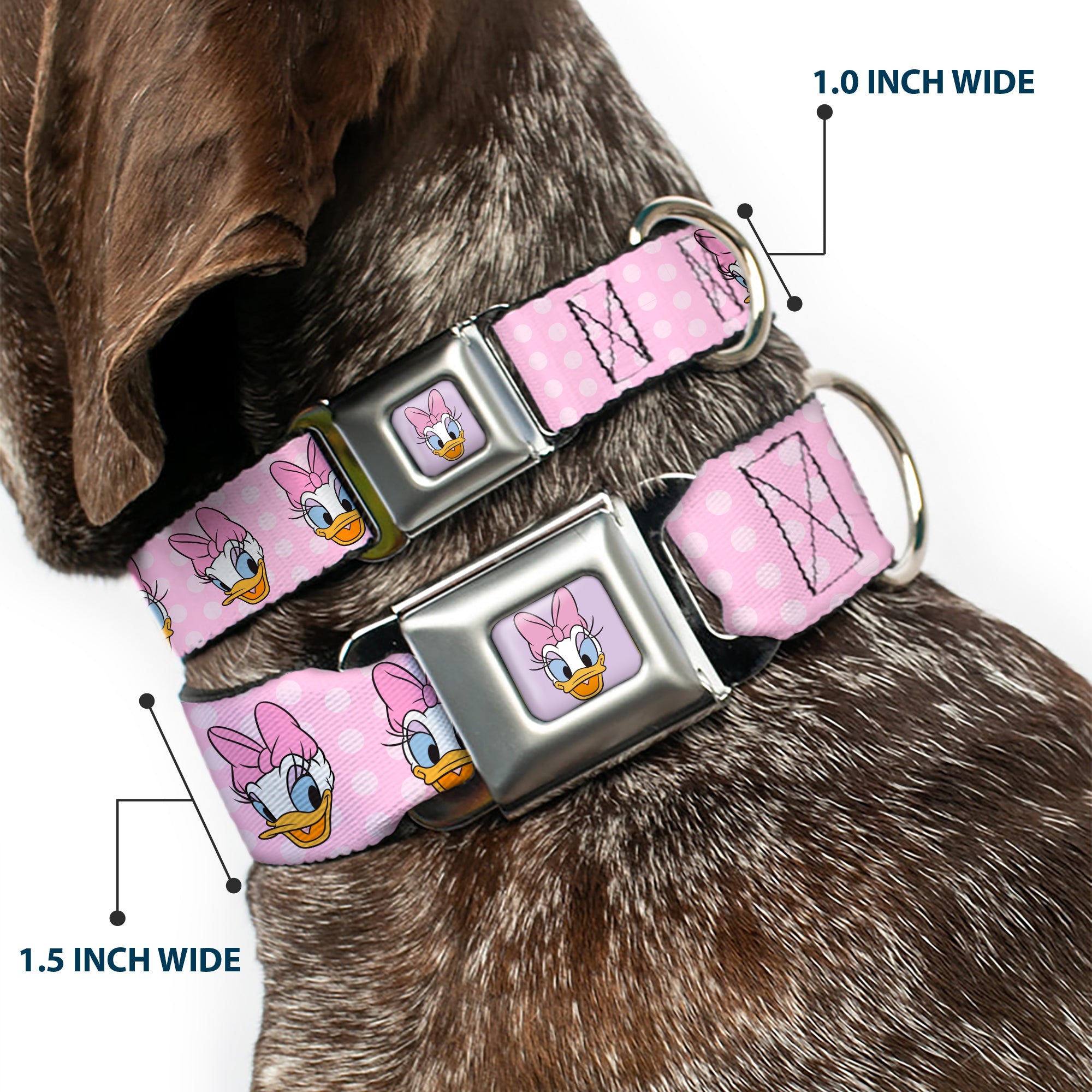 Daisy Duck Smiling Face Full Color Pinks Seatbelt Buckle Collar - Daisy Duck 2-Expressions/Dots Pinks Seatbelt Buckle Collars Disney