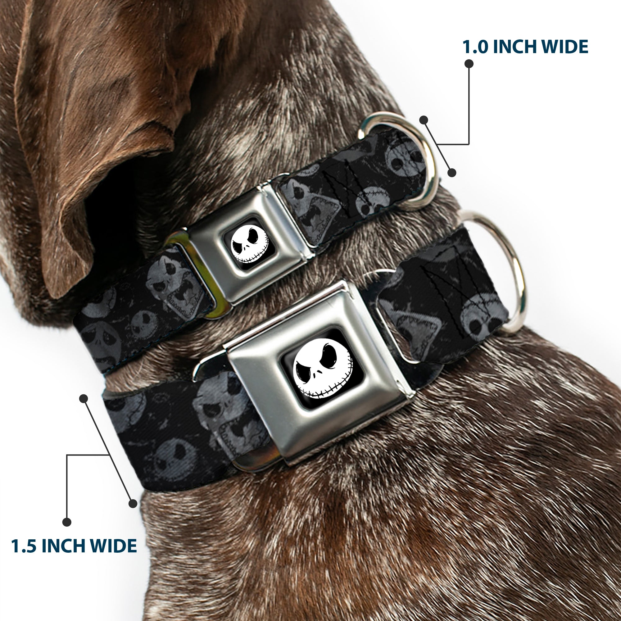 Jack Expression3 Full Color Seatbelt Buckle Collar - NBC Jack Expressions Scattered Weathered Seatbelt Buckle Collars Disney