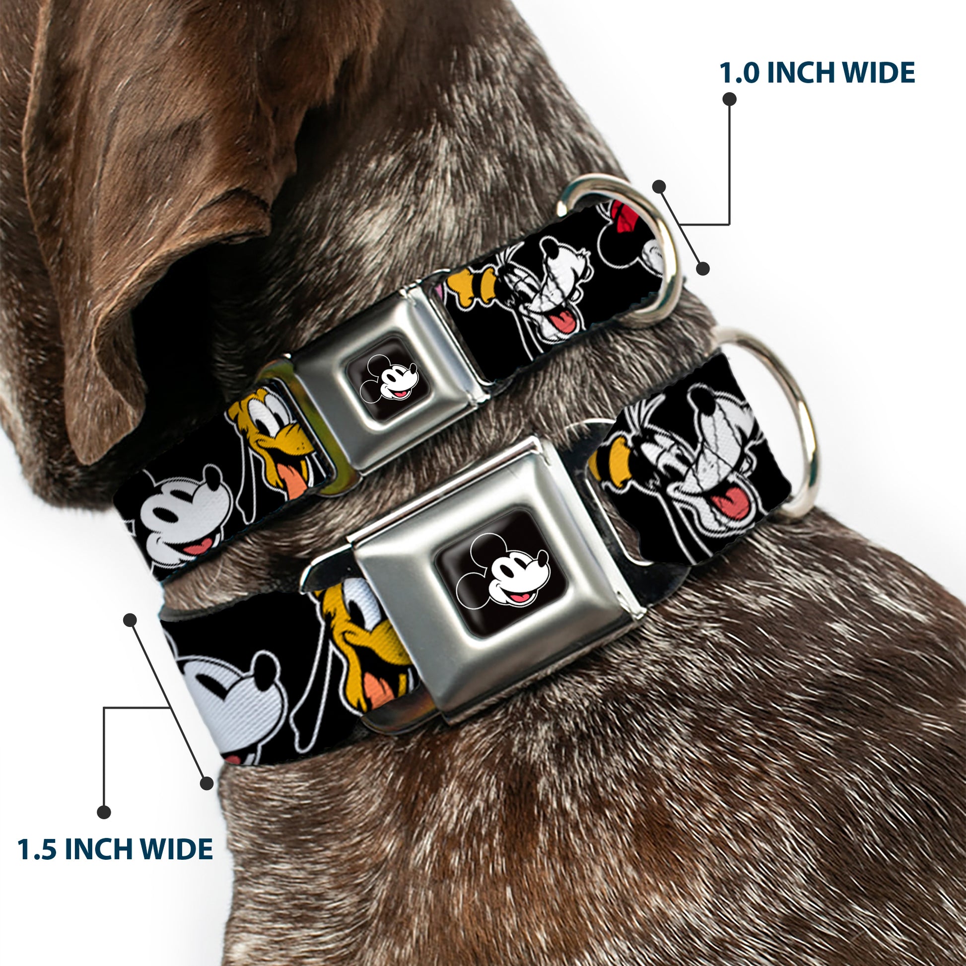 Mickey Mouse Smiling Face Full Color Black Seatbelt Buckle Collar - Disney The Sensational Six Smiling Faces Black Seatbelt Buckle Collars Disney
