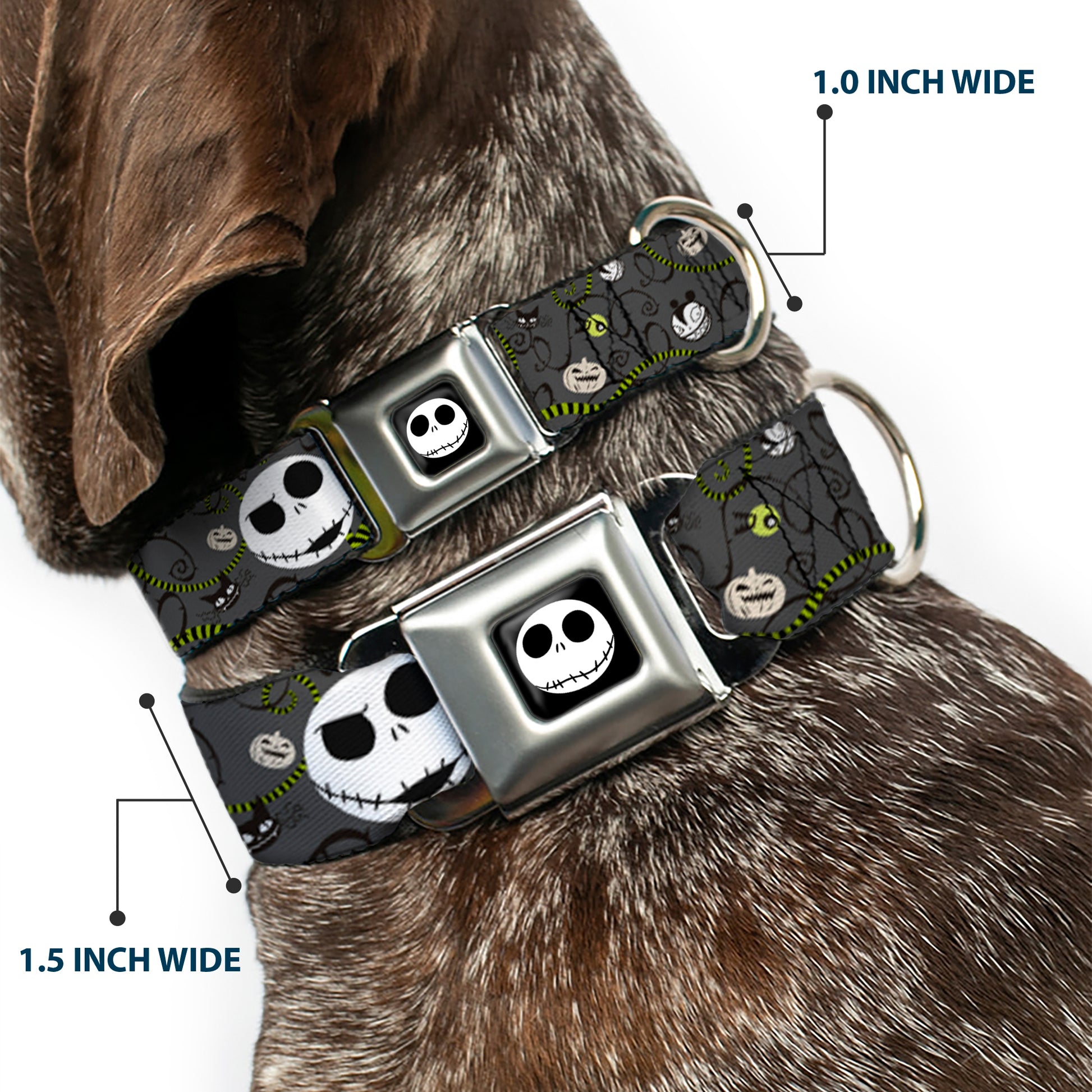 Jack Expression4 Full Color Seatbelt Buckle Collar - NBC Jack Expressions/Halloween Elements Gray Seatbelt Buckle Collars Disney