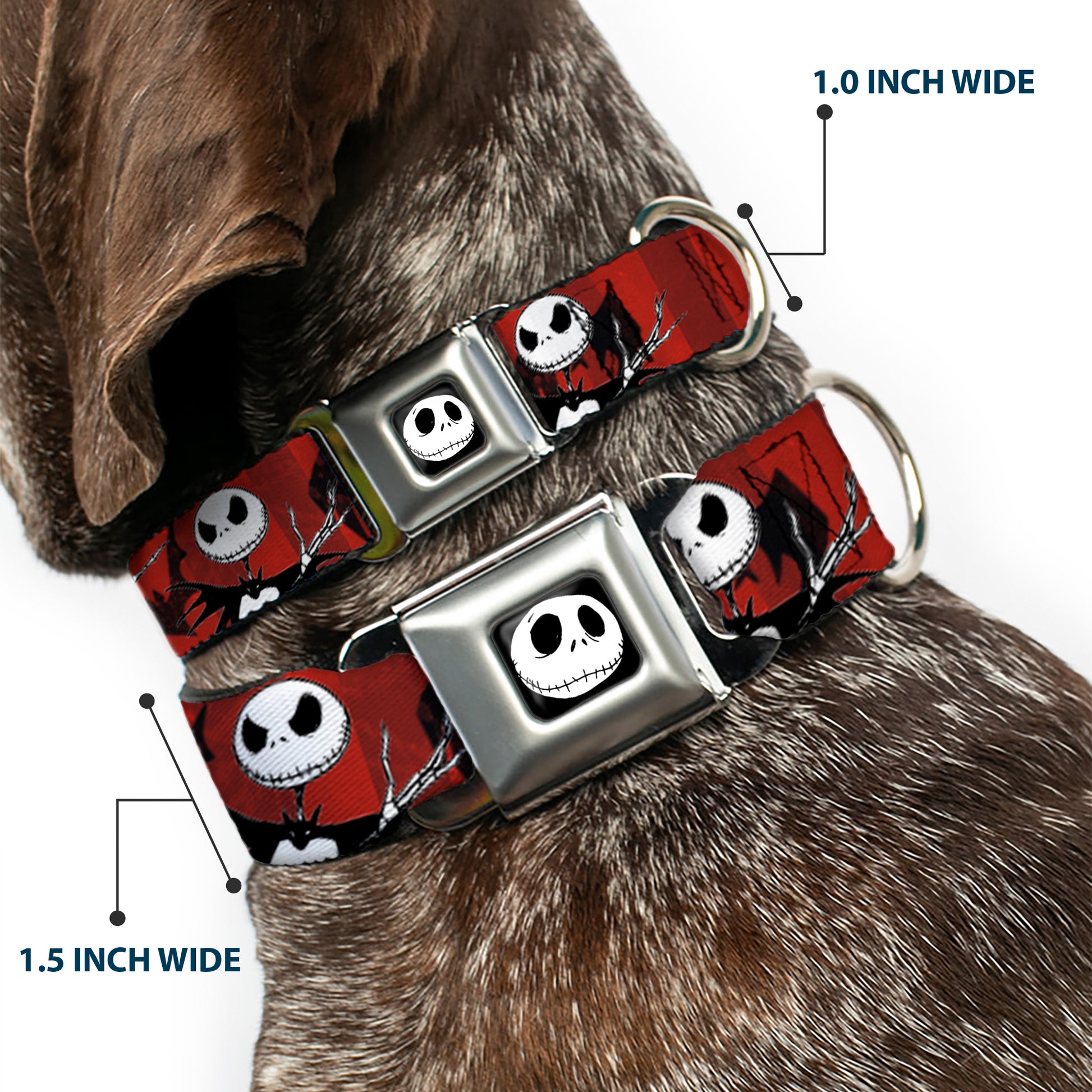 Jack Expression5 Full Color Seatbelt Buckle Collar - Nightmare Before Christmas Jack Poses/Bats Red Stripe Seatbelt Buckle Collars Disney