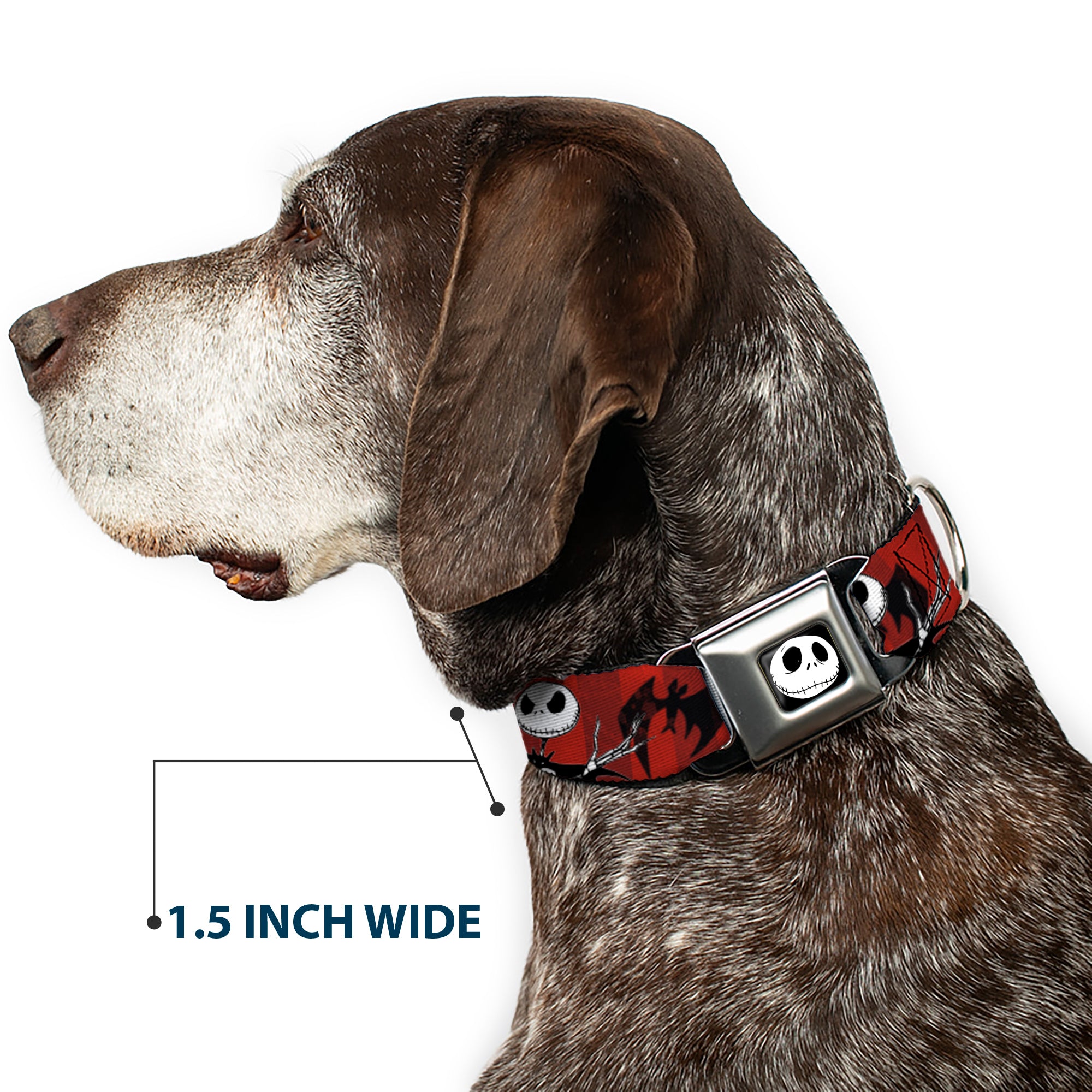 Jack Expression5 Full Color Seatbelt Buckle Collar - Nightmare Before Christmas Jack Poses/Bats Red Stripe Seatbelt Buckle Collars Disney