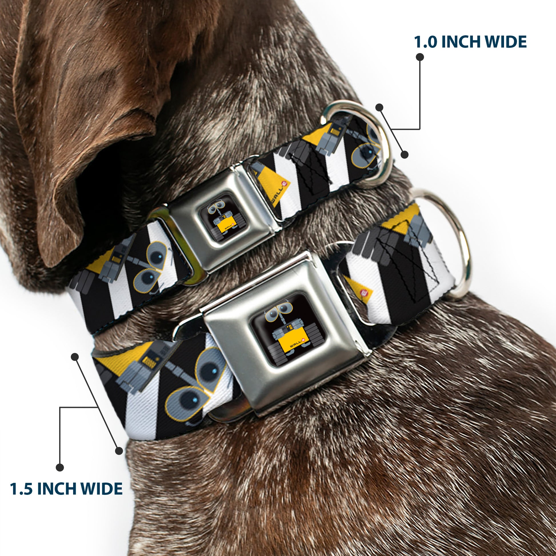 WALL-E Pose Full Color Black Seatbelt Buckle Collar - Wall-E Poses/Stripe Black/White Seatbelt Buckle Collars Disney