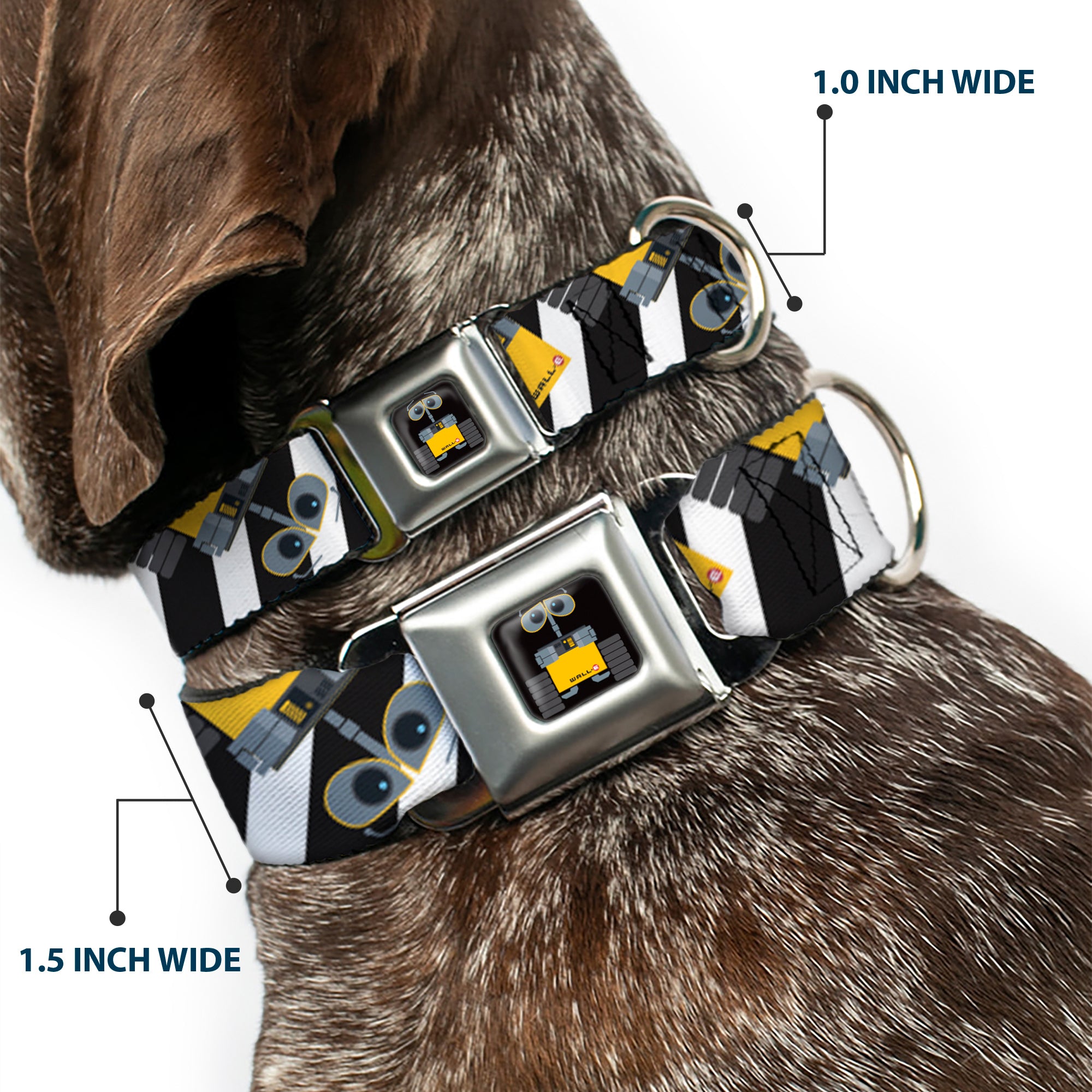 WALL-E Pose Full Color Black Seatbelt Buckle Collar - Wall-E Poses/Stripe Black/White Seatbelt Buckle Collars Disney