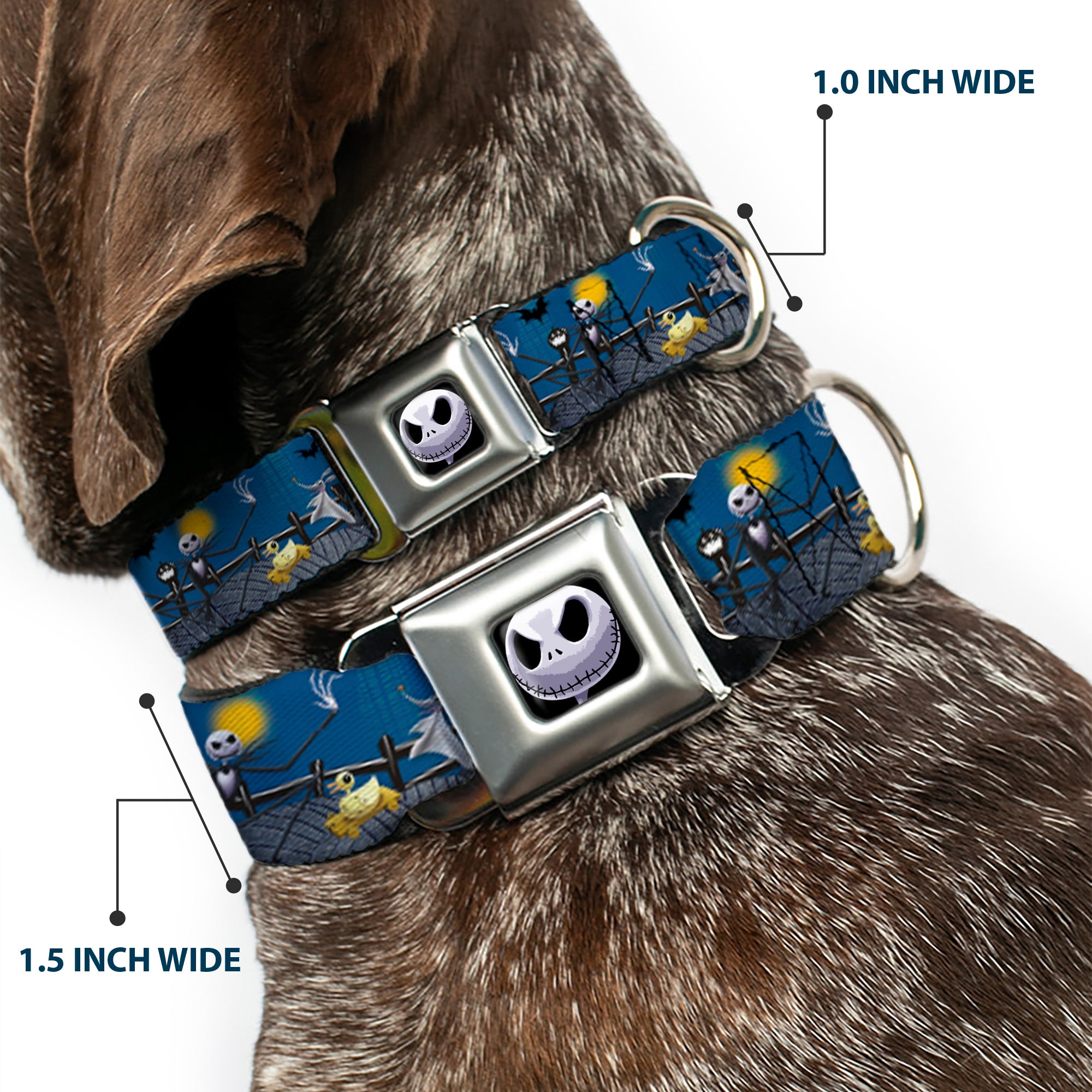 Jack Expression6 Full Color Seatbelt Buckle Collar - Nightmare Before Christmas Jack, Zombie Duck & Zero Cemetery Scene Seatbelt Buckle Collars Disney