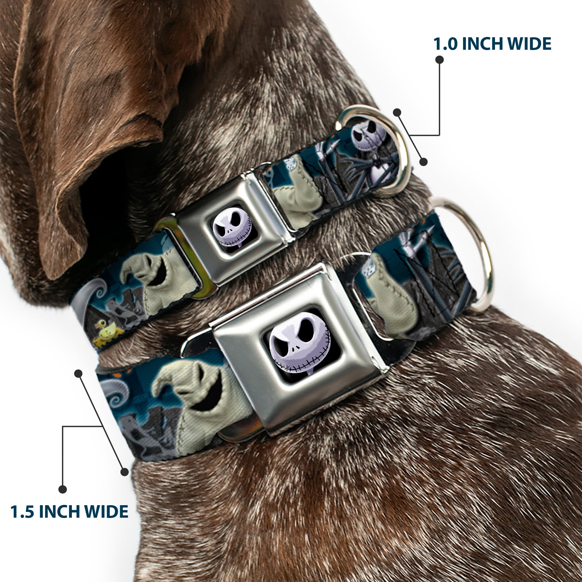 Jack Expression6 Full Color Seatbelt Buckle Collar - Nightmare Before Christmas 4-Character Group/Cemetery Scene Seatbelt Buckle Collars Disney