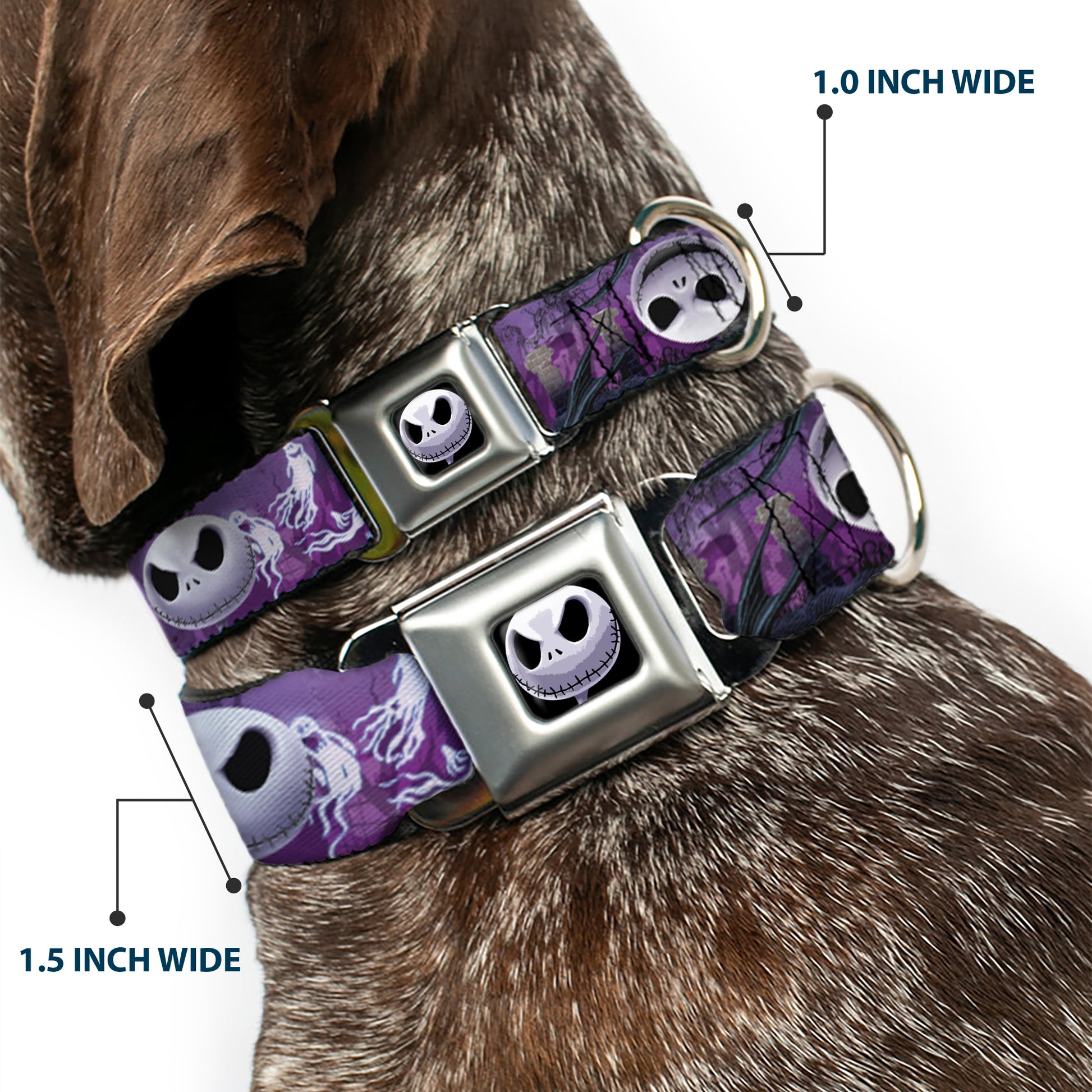 Jack Expression6 Full Color Seatbelt Buckle Collar - Jack Expressions/Ghosts in Cemetery Purples/Grays/White Seatbelt Buckle Collars Disney