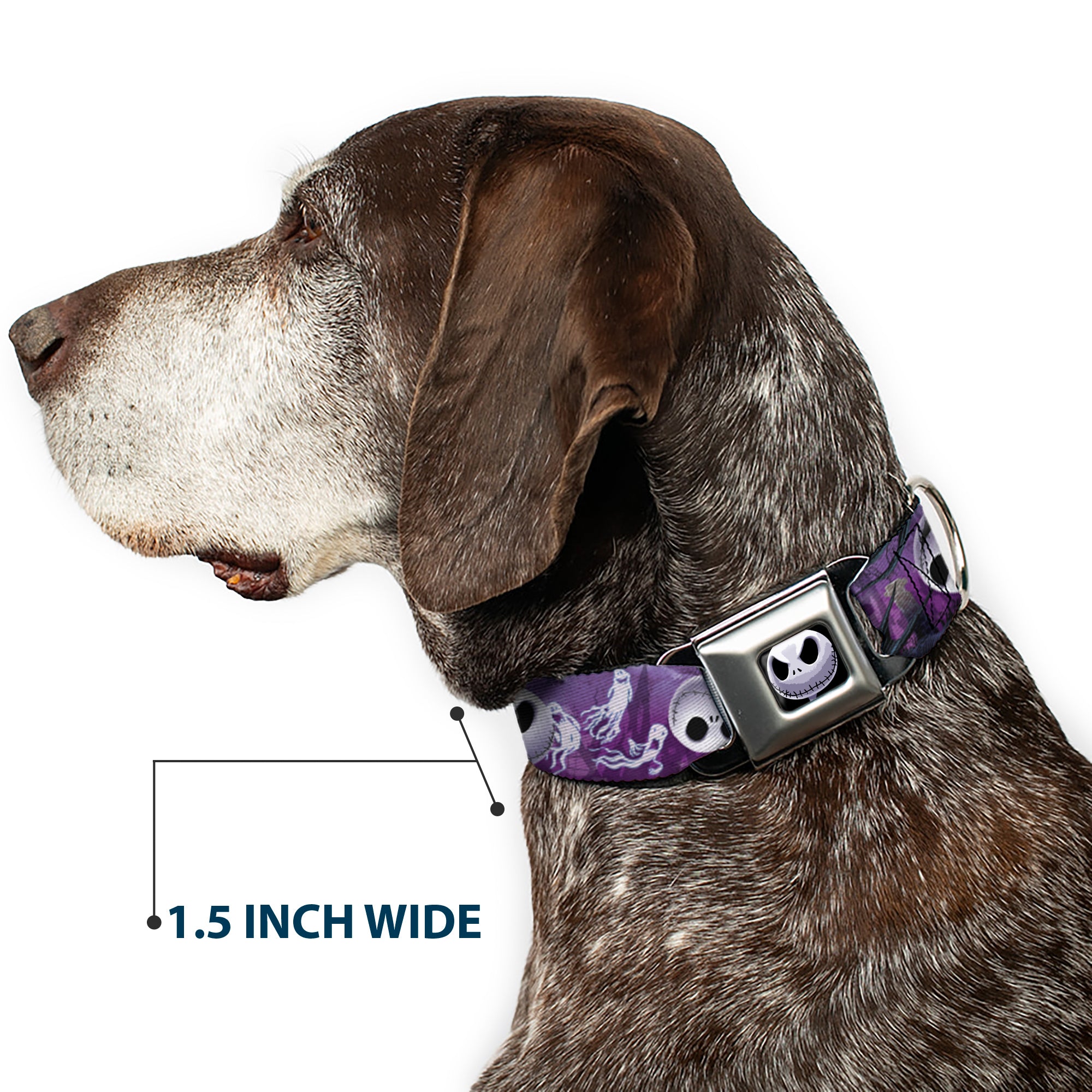 Jack Expression6 Full Color Seatbelt Buckle Collar - Jack Expressions/Ghosts in Cemetery Purples/Grays/White Seatbelt Buckle Collars Disney
