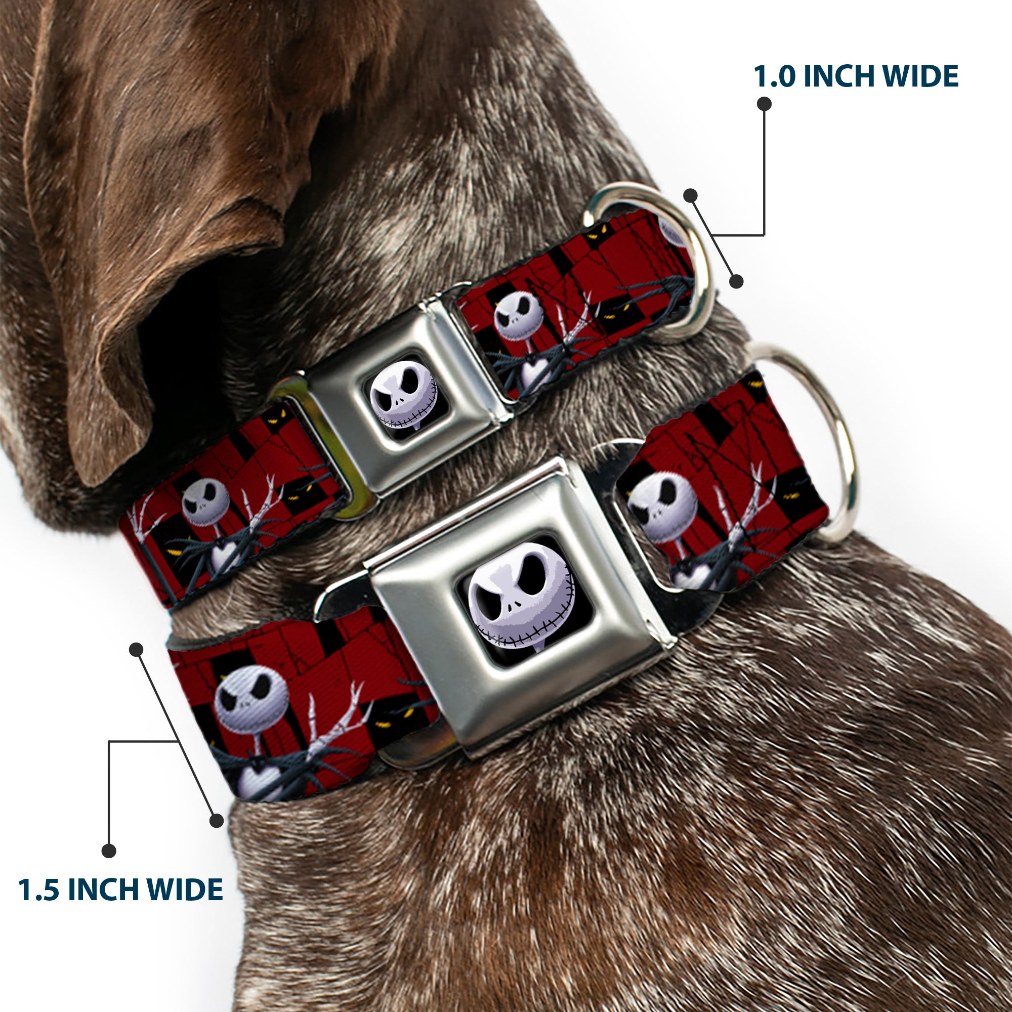 Jack Expression6 Full Color Seatbelt Buckle Collar - Nightmare Before Christmas 3-Jack Poses/Peeping Eyes Burgundy/Black/Yellow Seatbelt Buckle Collars Disney