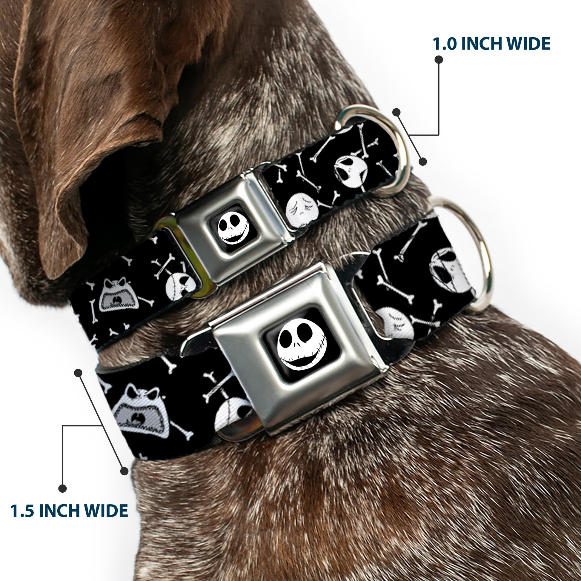 Jack Expressions/Bones Scattered Full Color Black/White Seatbelt Buckle Collar - Jack Expressions/Bones Scattered Black/White Seatbelt Buckle Collars Disney