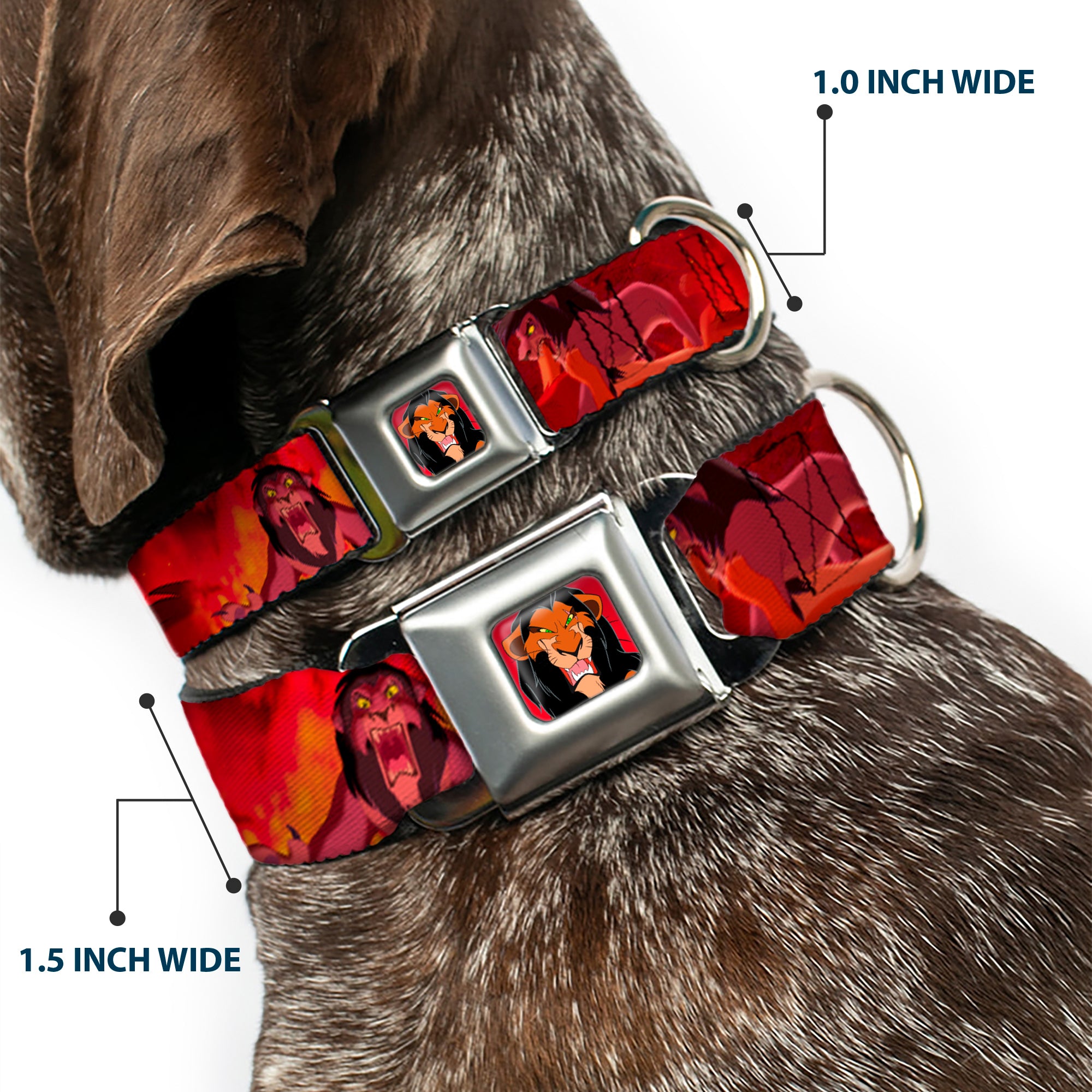 Scar Red Full Color Seatbelt Buckle Collar - Simba Scar Battle Scene Fiery Red Seatbelt Buckle Collars Disney