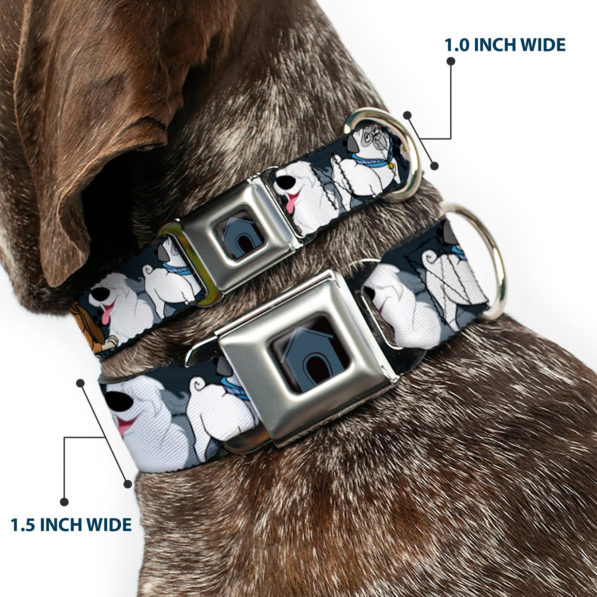 Dog House Full Color Black/Gray Seatbelt Buckle Collar - Disney Dogs 6-Dog Group Collage/Paws Gray/Black Seatbelt Buckle Collars Disney
