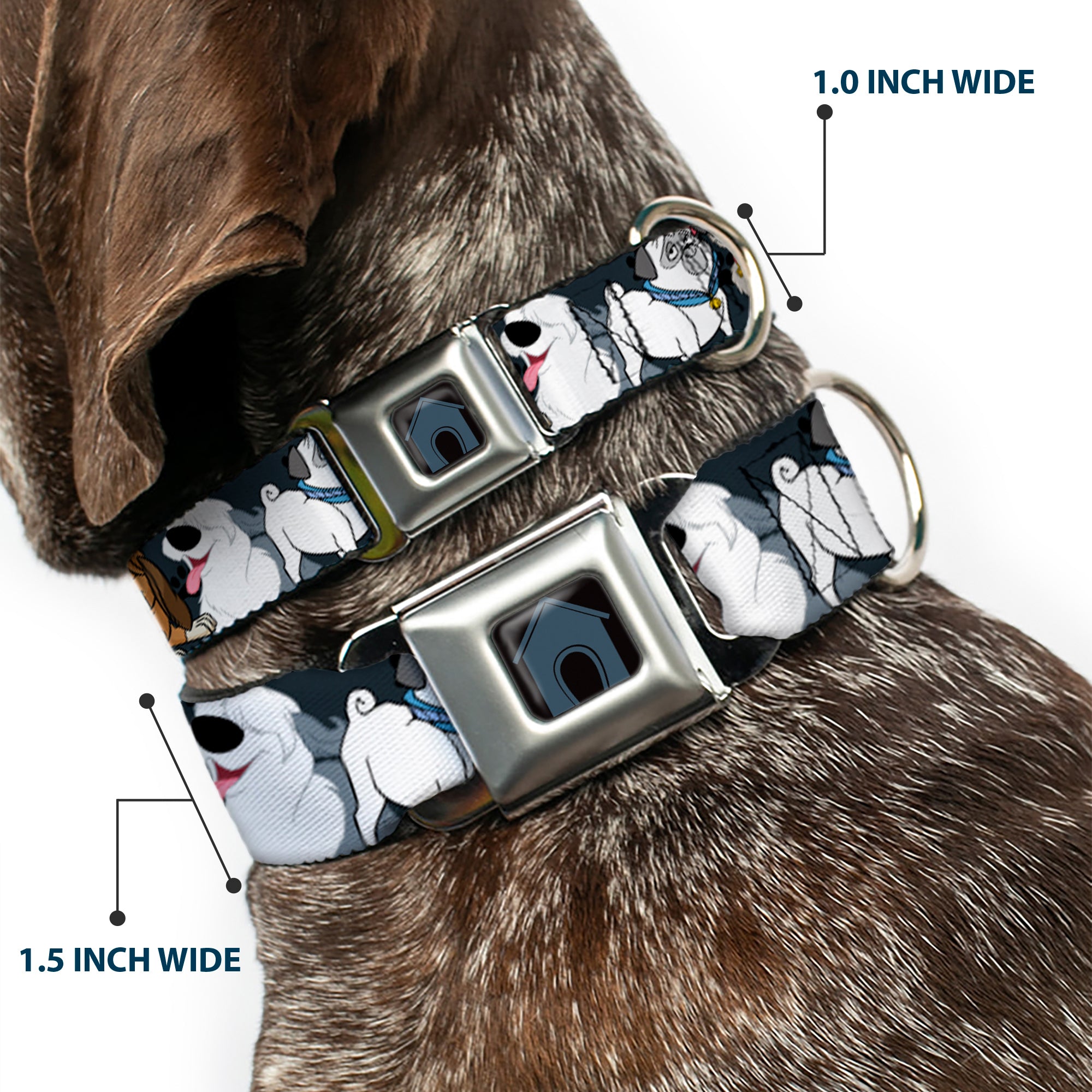Dog House Full Color Black/Gray Seatbelt Buckle Collar - Disney Dogs 6-Dog Group Collage/Paws Gray/Black Seatbelt Buckle Collars Disney