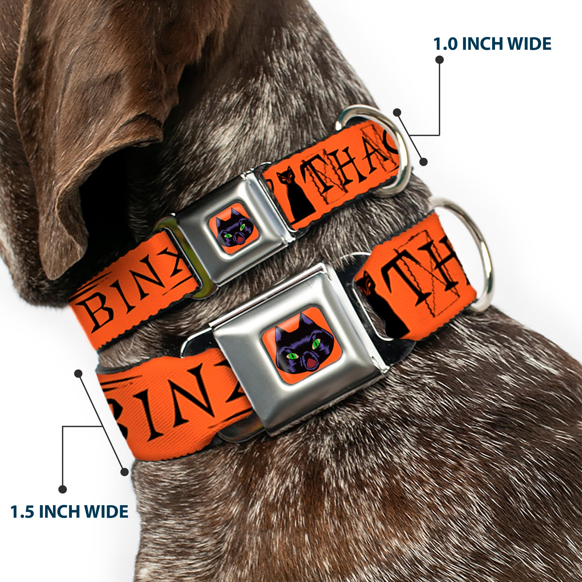 Hocus Pocus Thackery Binx Cat Face Full Color Orange Seatbelt Buckle Collar - Hocus Pocus THACKERY BINX Cat Silhouette Orange/Black Seatbelt Buckle Collars Disney