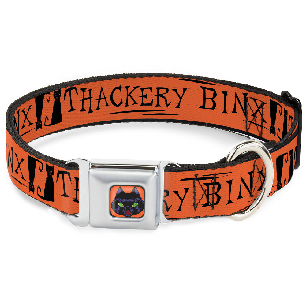 Hocus Pocus Thackery Binx Cat Face Full Color Orange Seatbelt Buckle Collar - Hocus Pocus THACKERY BINX Cat Silhouette Orange/Black Seatbelt Buckle Collars Disney