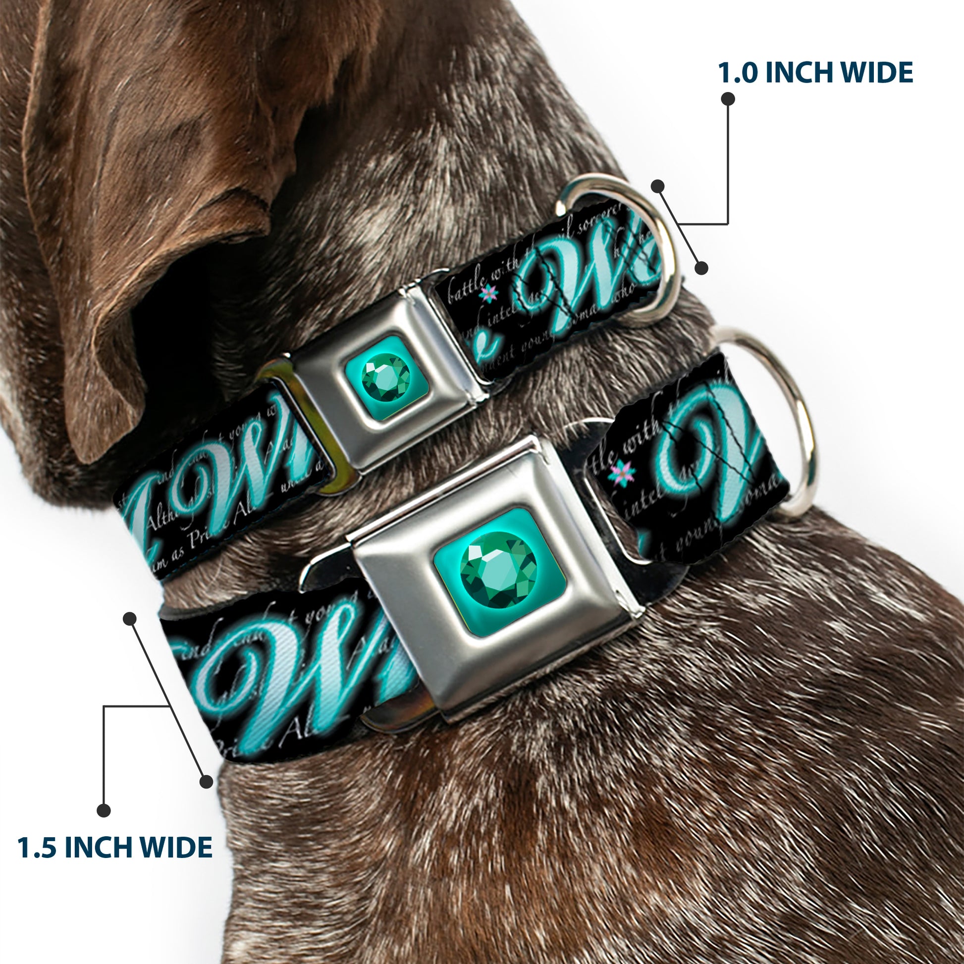 Princess Gem Full Color Turquoise Seatbelt Buckle Collar - Aladdin A WHOLE NEW WORLD/Story Script Seatbelt Buckle Collars Disney