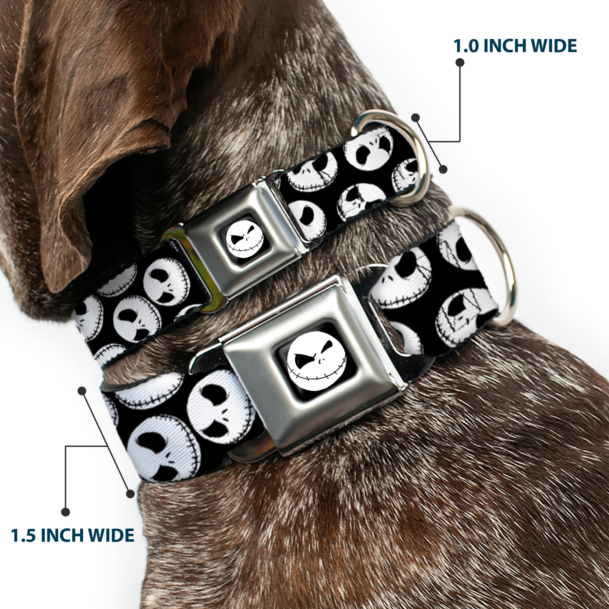 Jack Expression9 Full Color Seatbelt Buckle Collar - NBC Jack Expressions Scattered Black/White Seatbelt Buckle Collars Disney