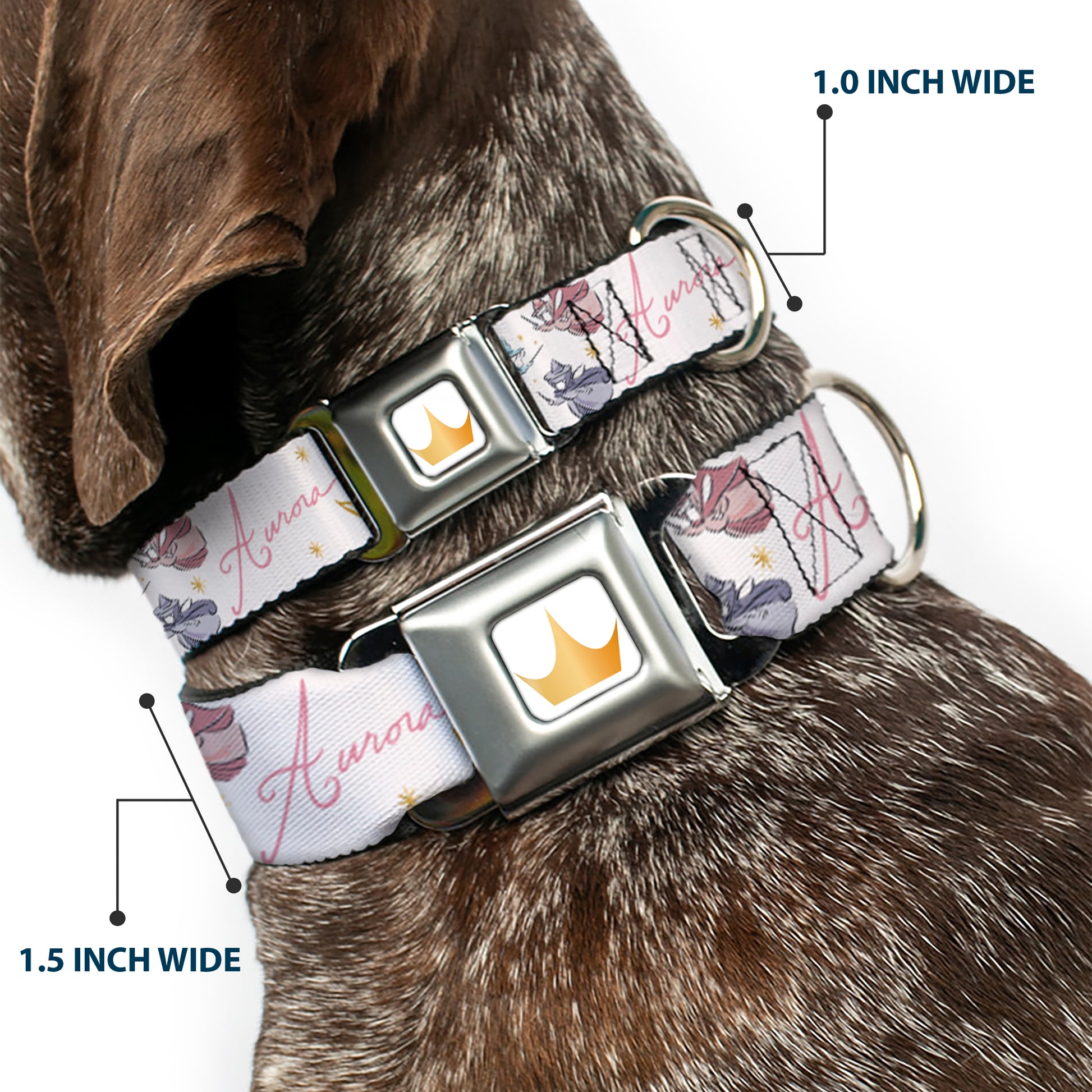 Disney Princess Crown Full Color Golds Seatbelt Buckle Collar - Sleeping Beauty Aurora Castle and Fairy Godmothers Pose with Script and Flowers White/Pinks Seatbelt Buckle Collars Disney