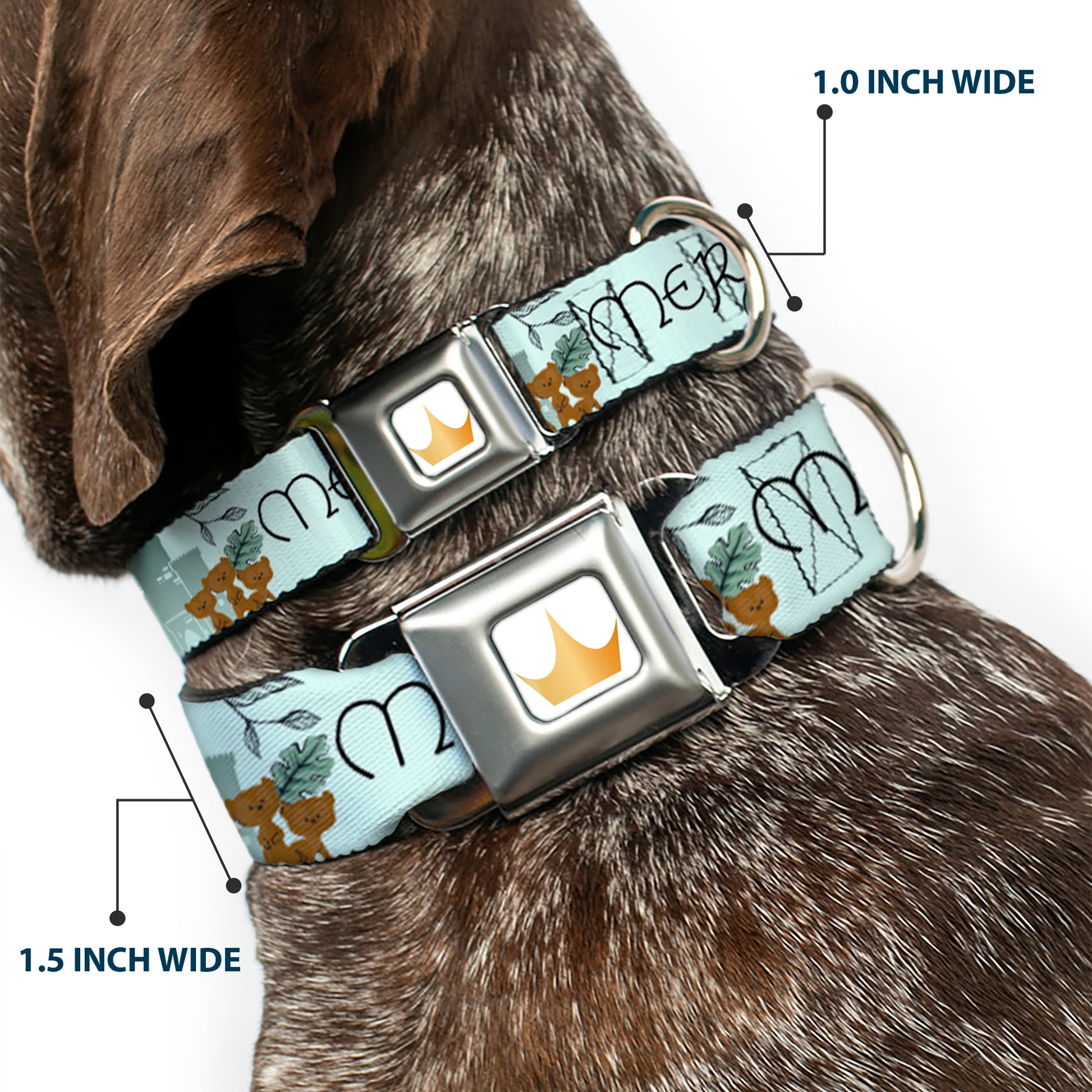 Disney Princess Crown Full Color Golds Seatbelt Buckle Collar - Brave Merida Castle and Three Bear Brothers Pose with Script Greens Seatbelt Buckle Collars Disney