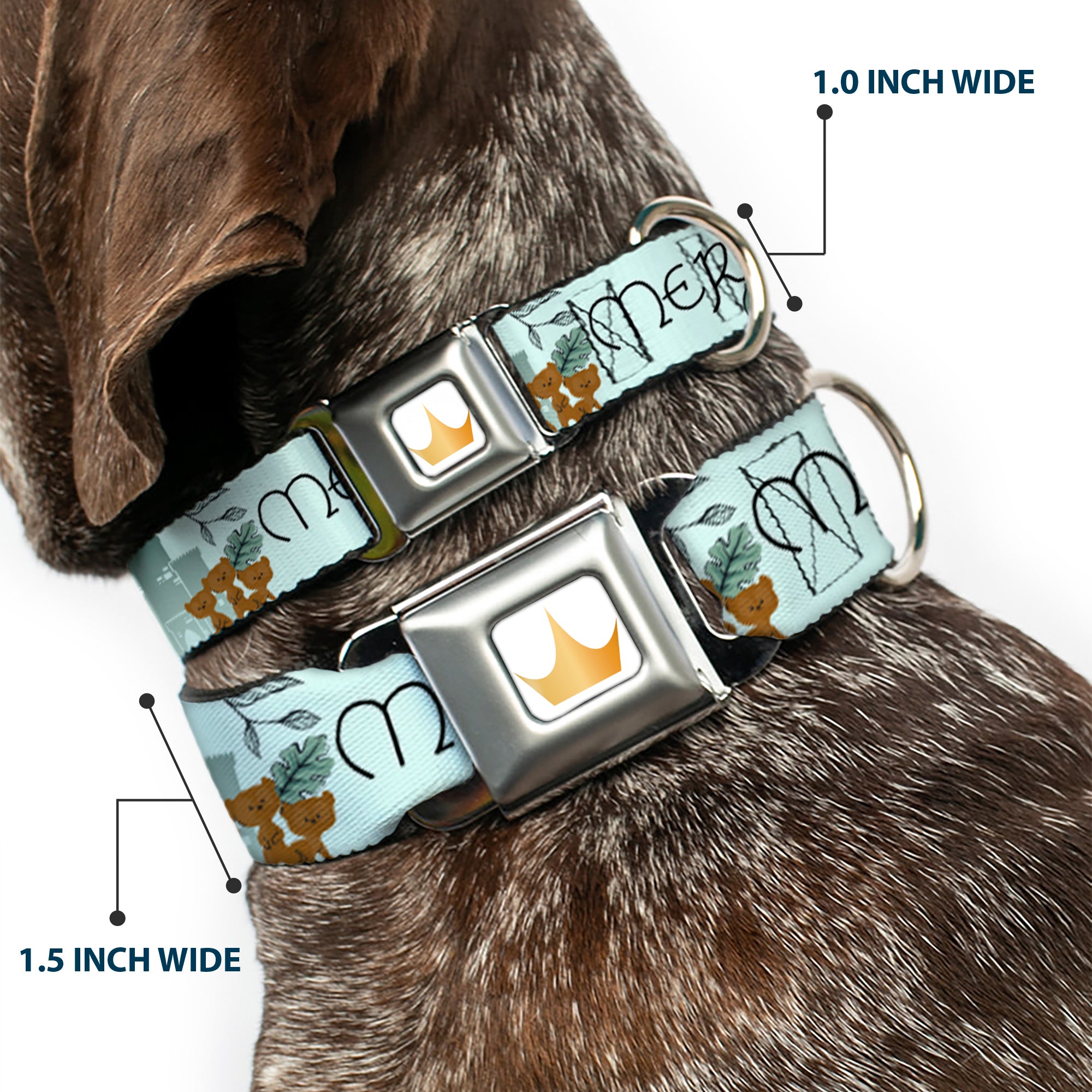 Disney Princess Crown Full Color Golds Seatbelt Buckle Collar - Brave Merida Castle and Three Bear Brothers Pose with Script Greens Seatbelt Buckle Collars Disney
