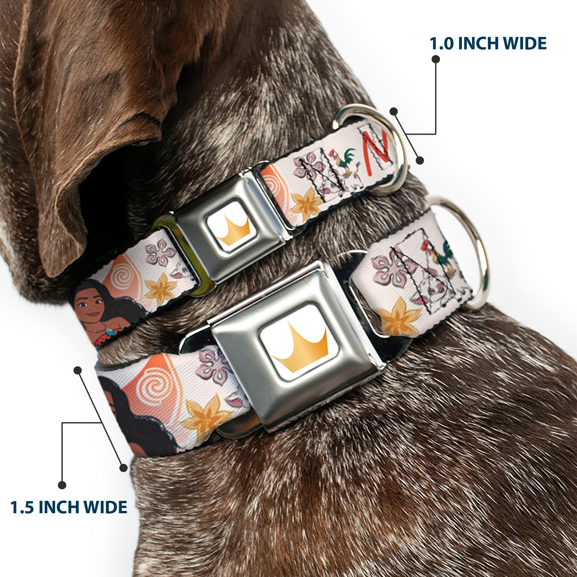 Disney Princess Crown Full Color Golds Seatbelt Buckle Collar - Moana with Pua and Hei Hei Sail Pose with Script and Flowers Beige/Orange Seatbelt Buckle Collars Disney