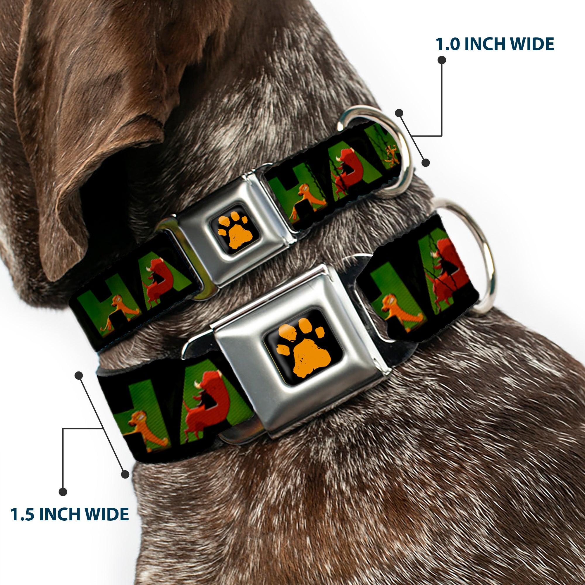 Lion King Paw Full Color Black Gold Seatbelt Buckle Collar - HAKUNA MATATA Black/Lion King Scenes Seatbelt Buckle Collars Disney