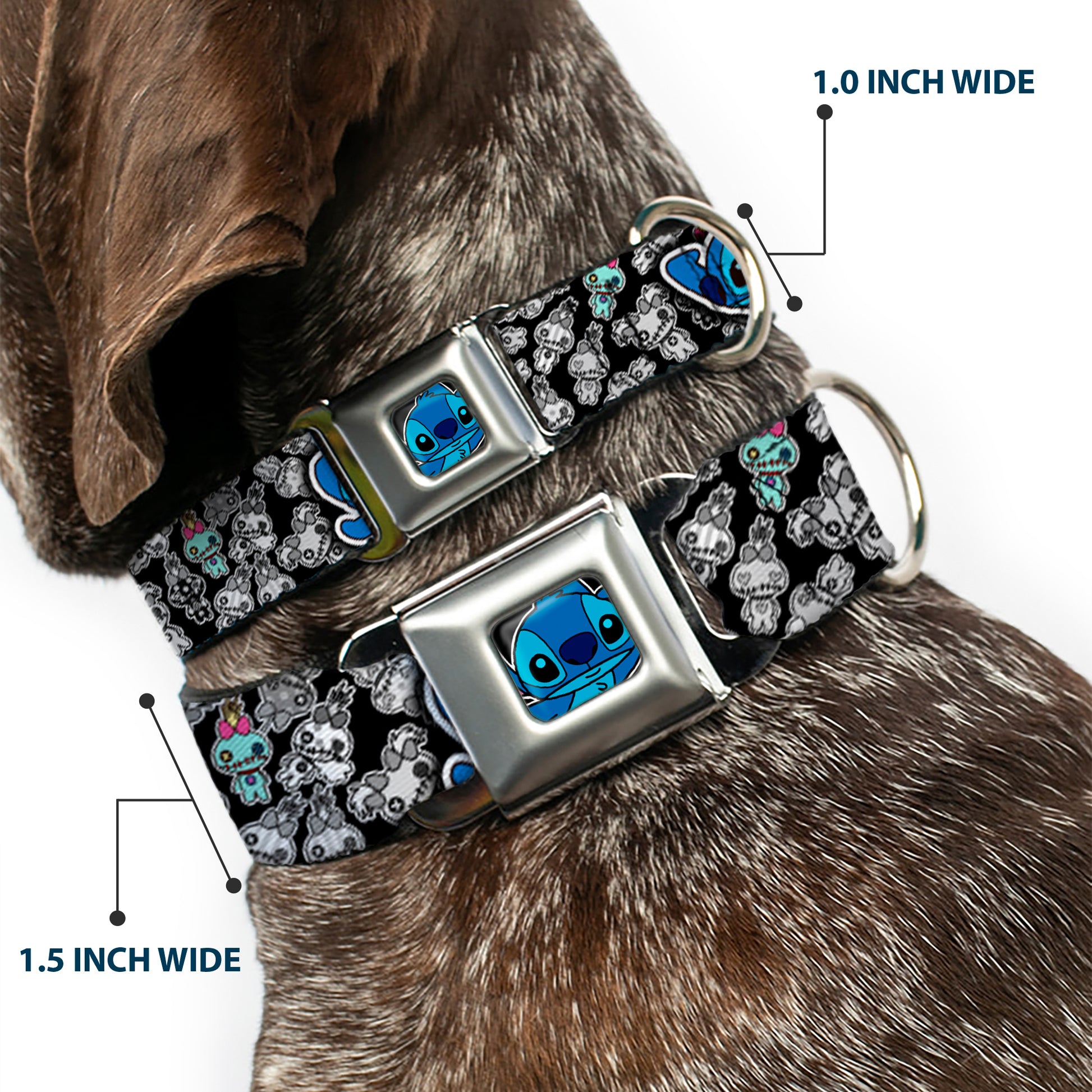 Stitch Face CLOSE-UP Full Color Seatbelt Buckle Collar - Stitch Poses/Mini Scrump Scattered Seatbelt Buckle Collars Disney