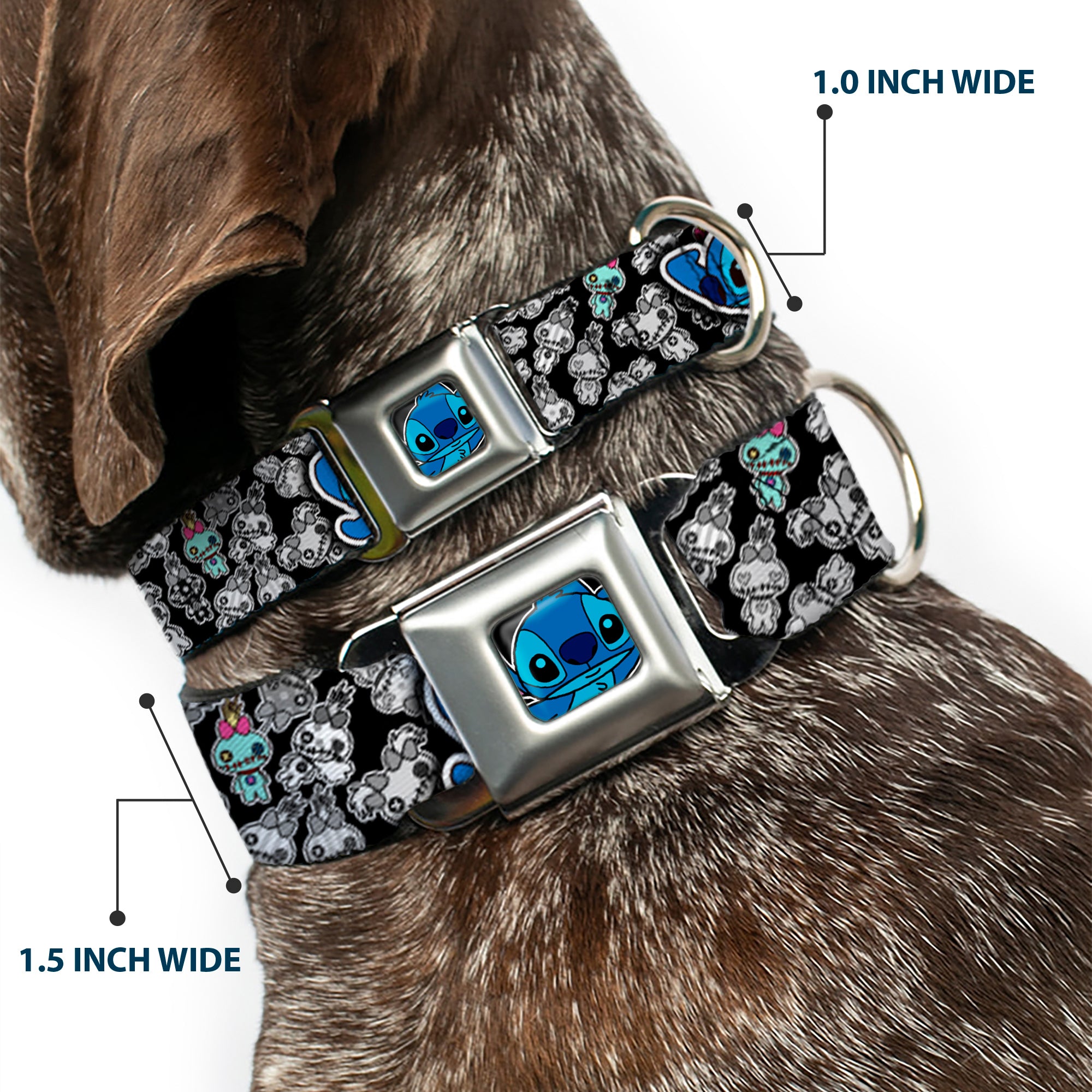Stitch Face CLOSE-UP Full Color Seatbelt Buckle Collar - Stitch Poses/Mini Scrump Scattered Seatbelt Buckle Collars Disney