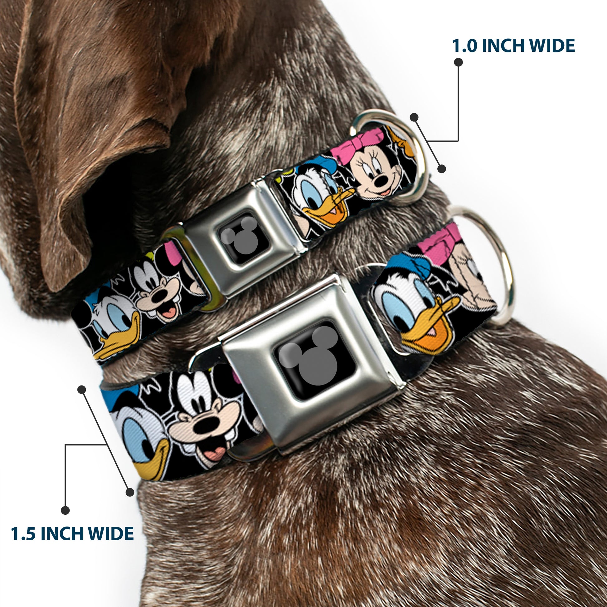 Mickey Silhouette Black Silver Seatbelt Buckle Collar - Classic Disney Character Faces Black Seatbelt Buckle Collars Disney