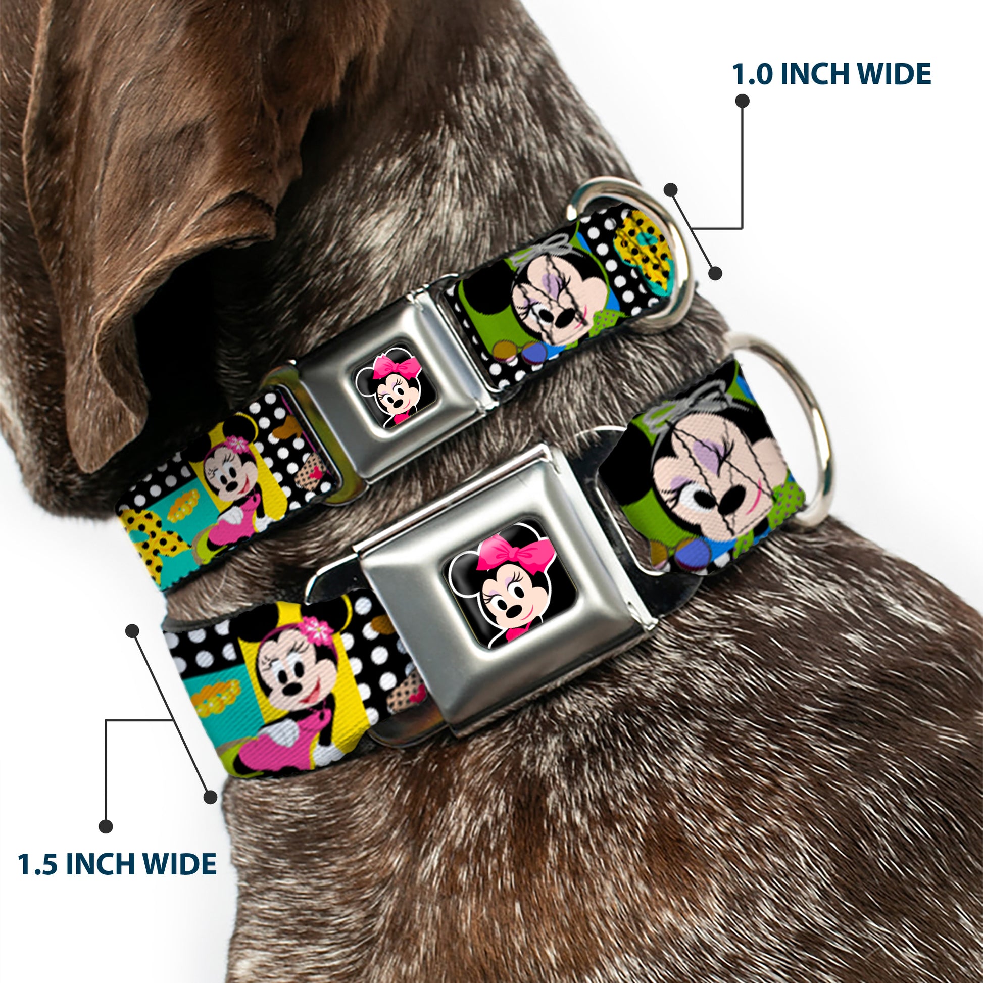 Mini Minnie Mouse Face CLOSE-UP Full Color Black Seatbelt Buckle Collar - Mini Minnie Fashion Poses/Polka Dot Black/White/Multi Color Seatbelt Buckle Collars Disney