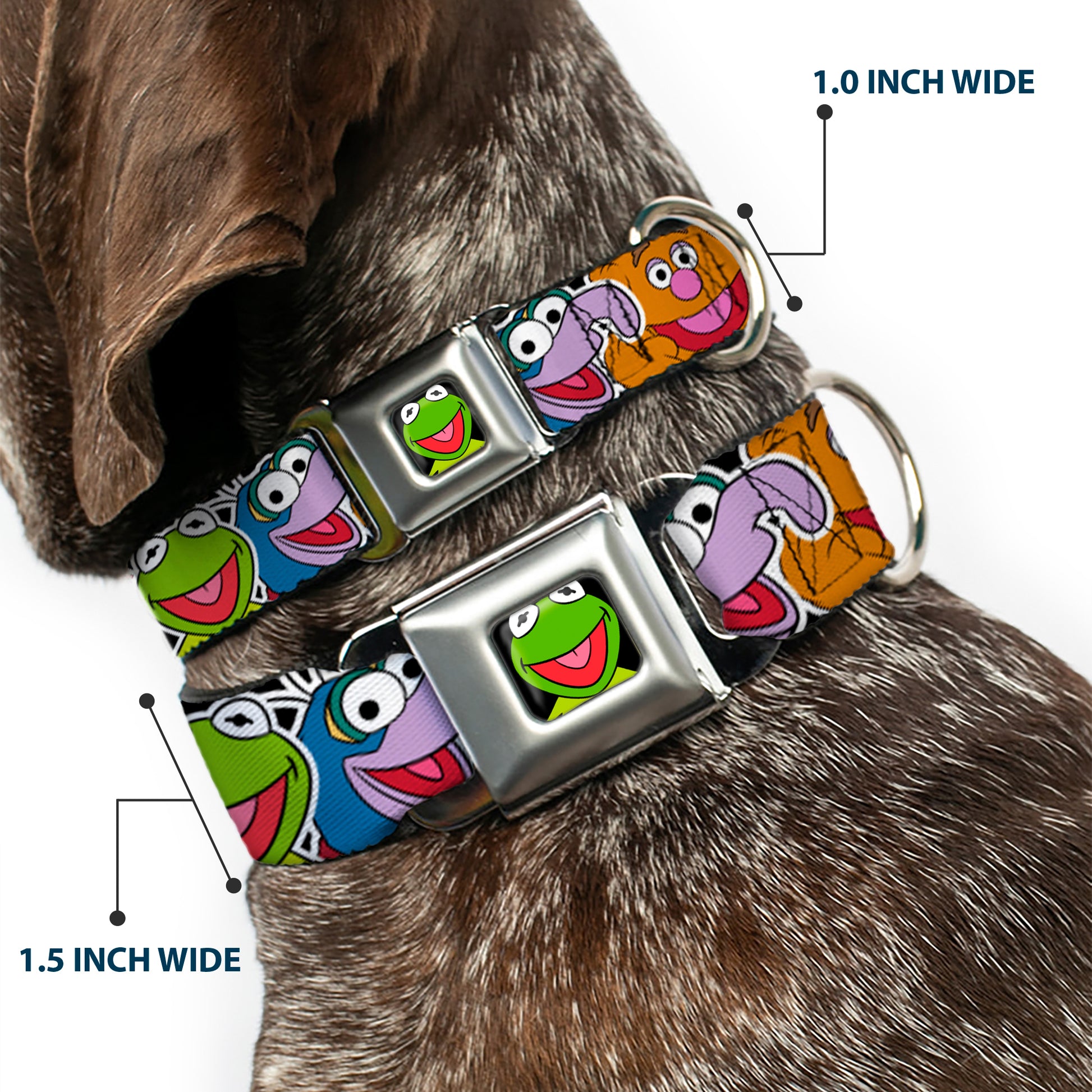 Kermit Face Full Color Black Seatbelt Buckle Collar - Muppets Faces CLOSE-UP Black Seatbelt Buckle Collars Disney