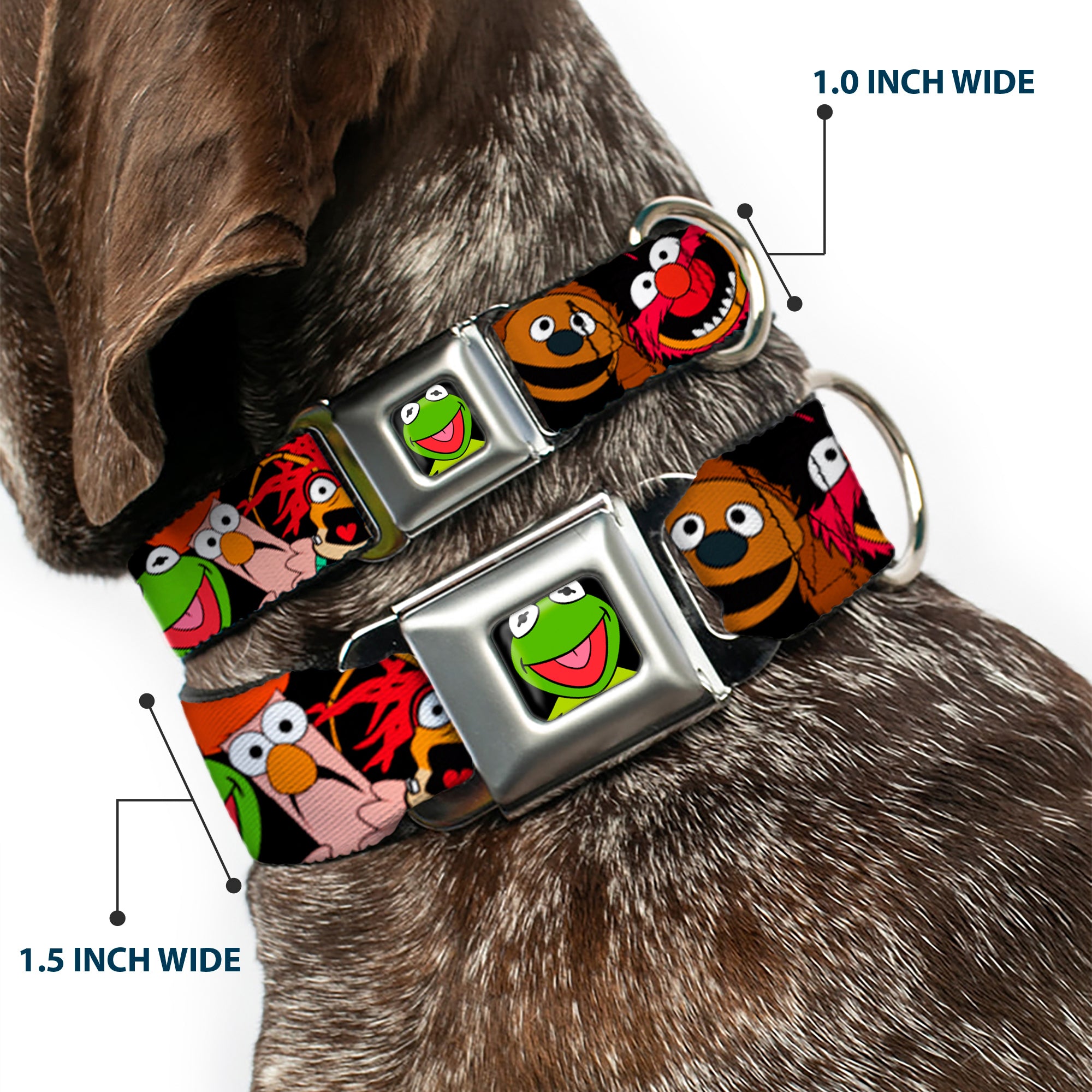 Kermit Face Full Color Black Seatbelt Buckle Collar - Muppets Faces Black Seatbelt Buckle Collars Disney