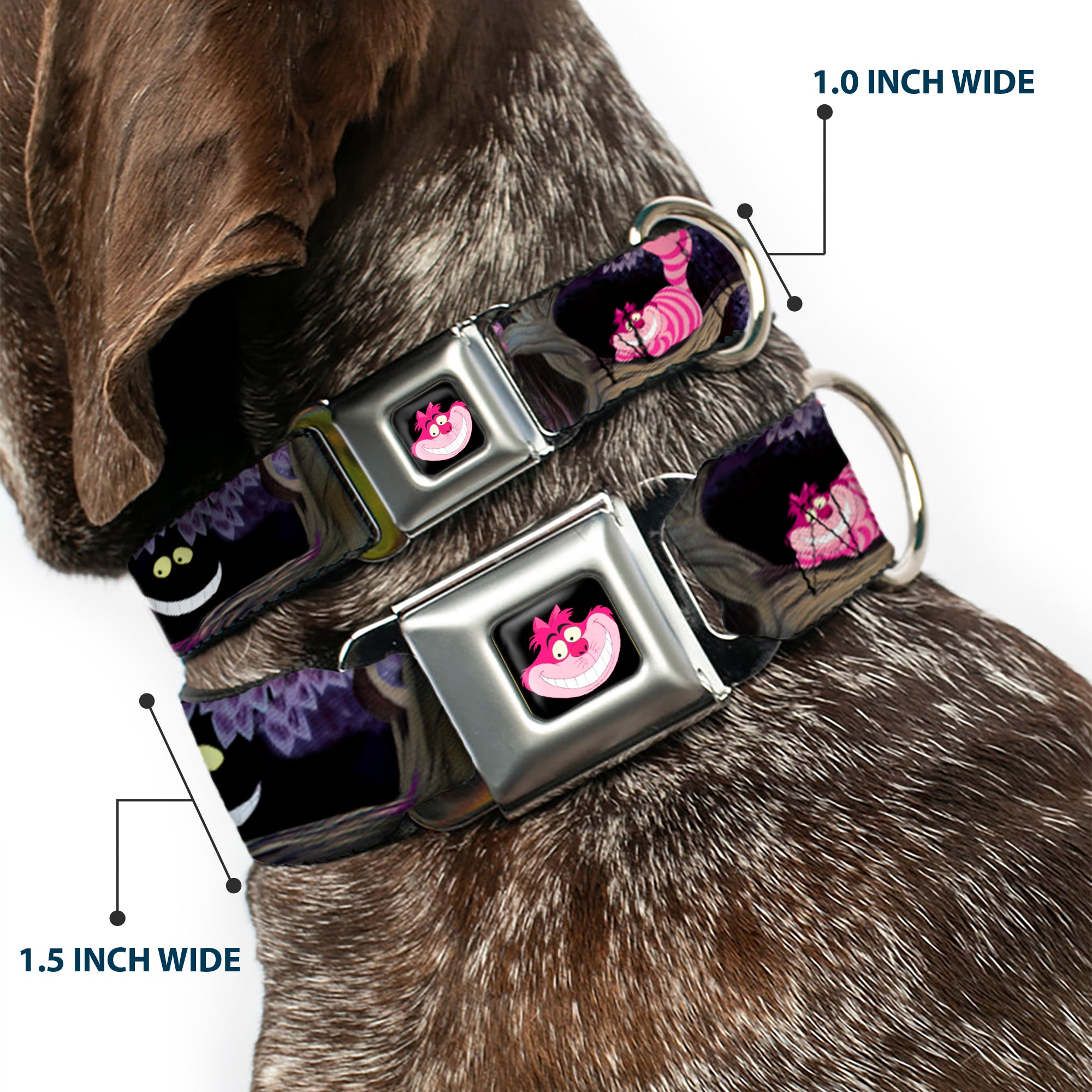 Cheshire Cat Face Full Color Black Seatbelt Buckle Collar - Alice & the Cheshire Cat Scenes Seatbelt Buckle Collars Disney