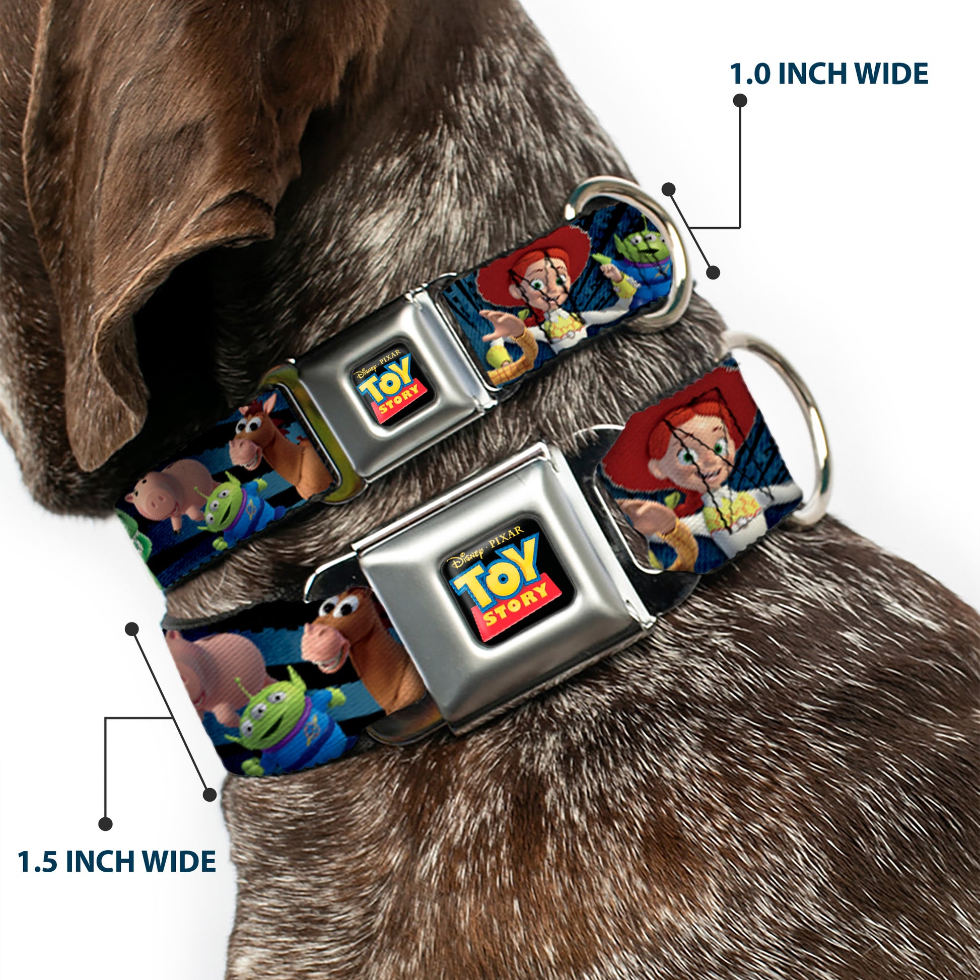 TOY STORY Logo Full Color Black Seatbelt Buckle Collar - Toy Story Characters Running2 Denim Rays Seatbelt Buckle Collars Disney