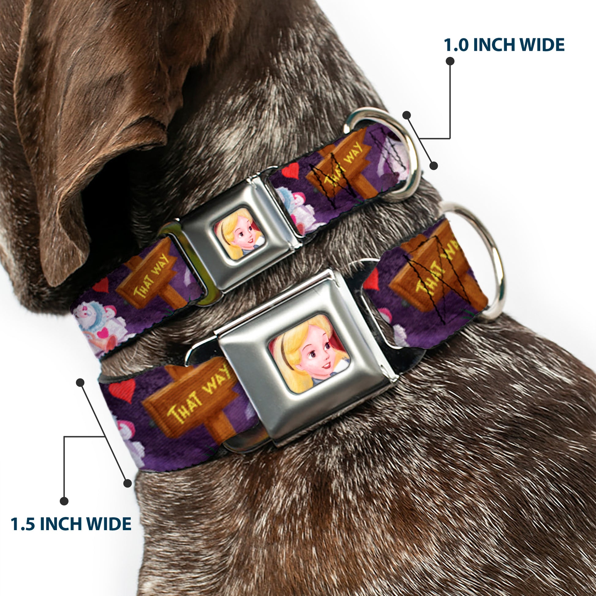 Alice Face Full Color Red Seatbelt Buckle Collar - Alice & the Queen of Hearts Scenes Seatbelt Buckle Collars Disney