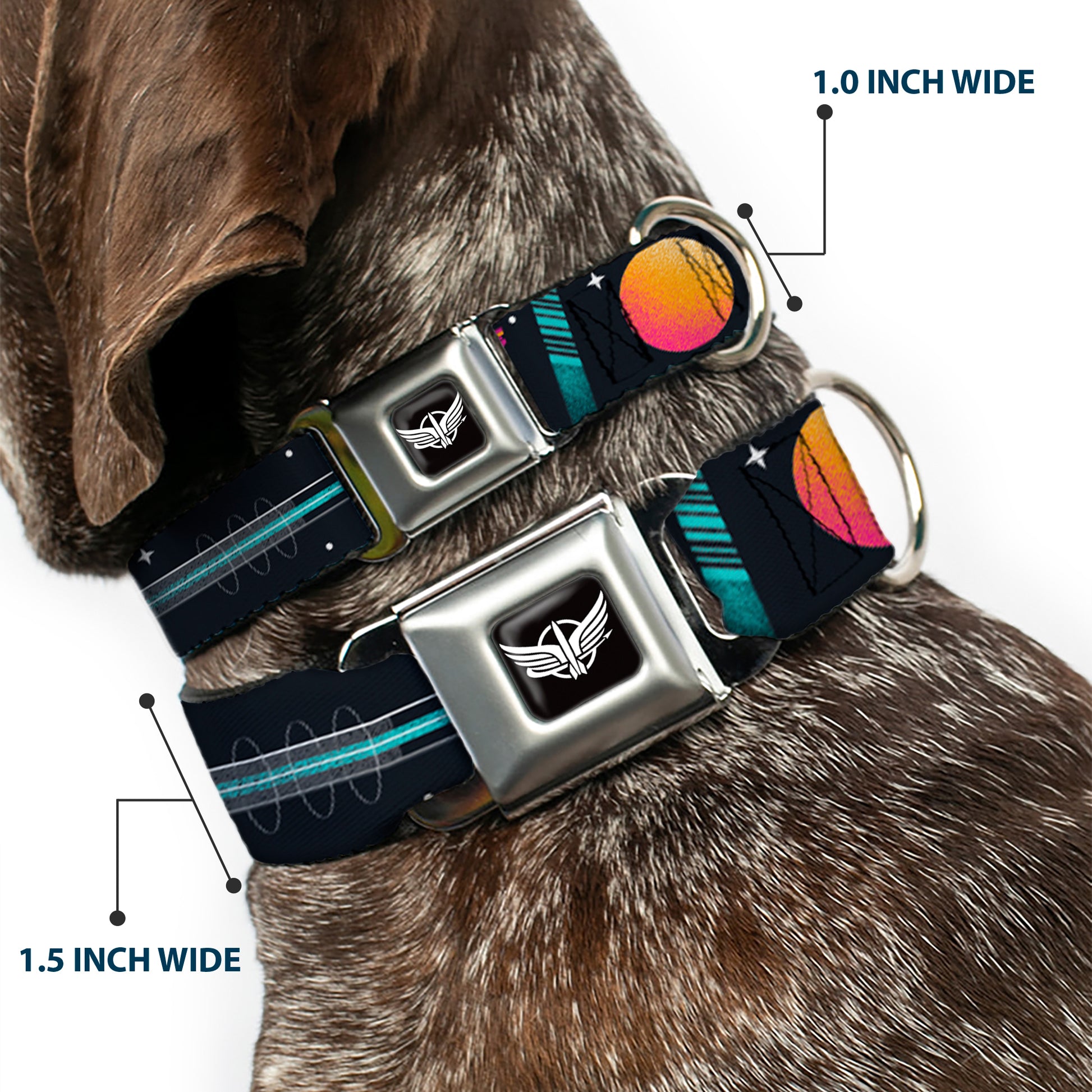 Lightyear Star Command Wings Logo Full Color Black/White Seatbelt Buckle Collar - BUZZ LIGHTYEAR Hyper Speed Spaceship Black/Multi Color Seatbelt Buckle Collars Disney