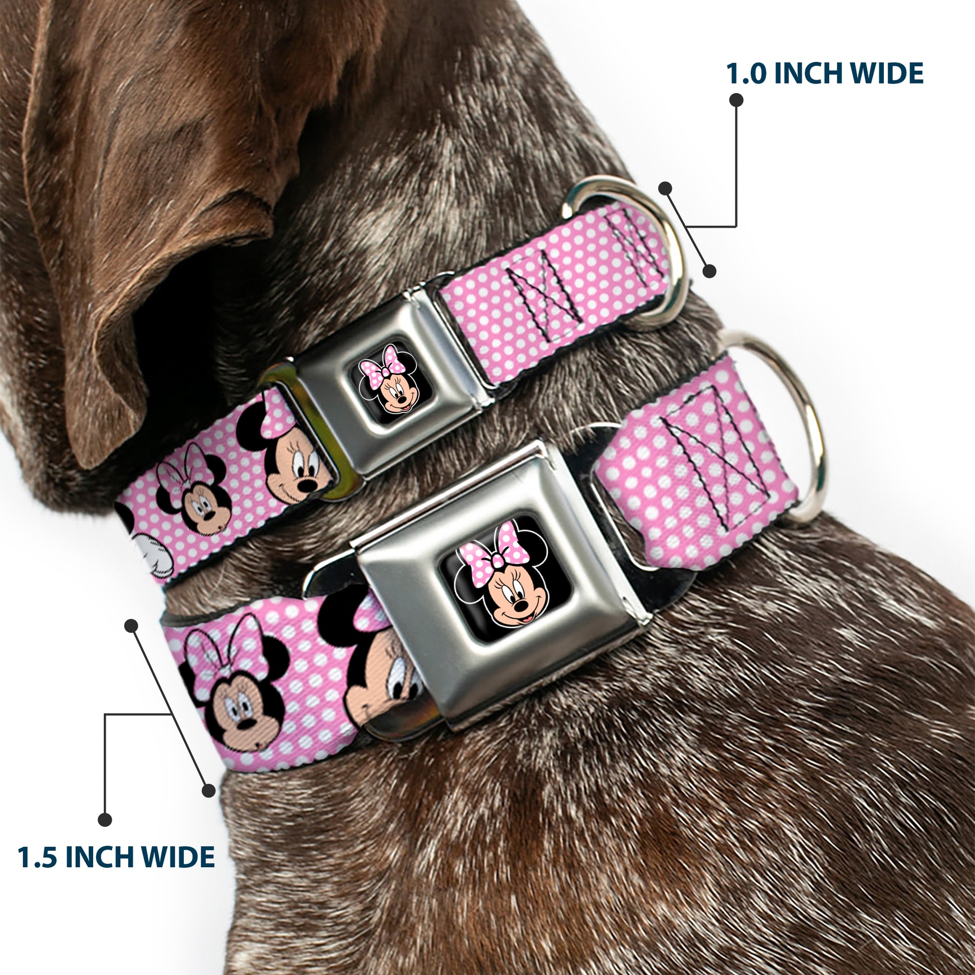 Minnie Mouse Full Color Face Pink Polka Dot Black Seatbelt Buckle Collar - Minnie Mouse Expressions Polka Dot Pink/White Seatbelt Buckle Collars Disney