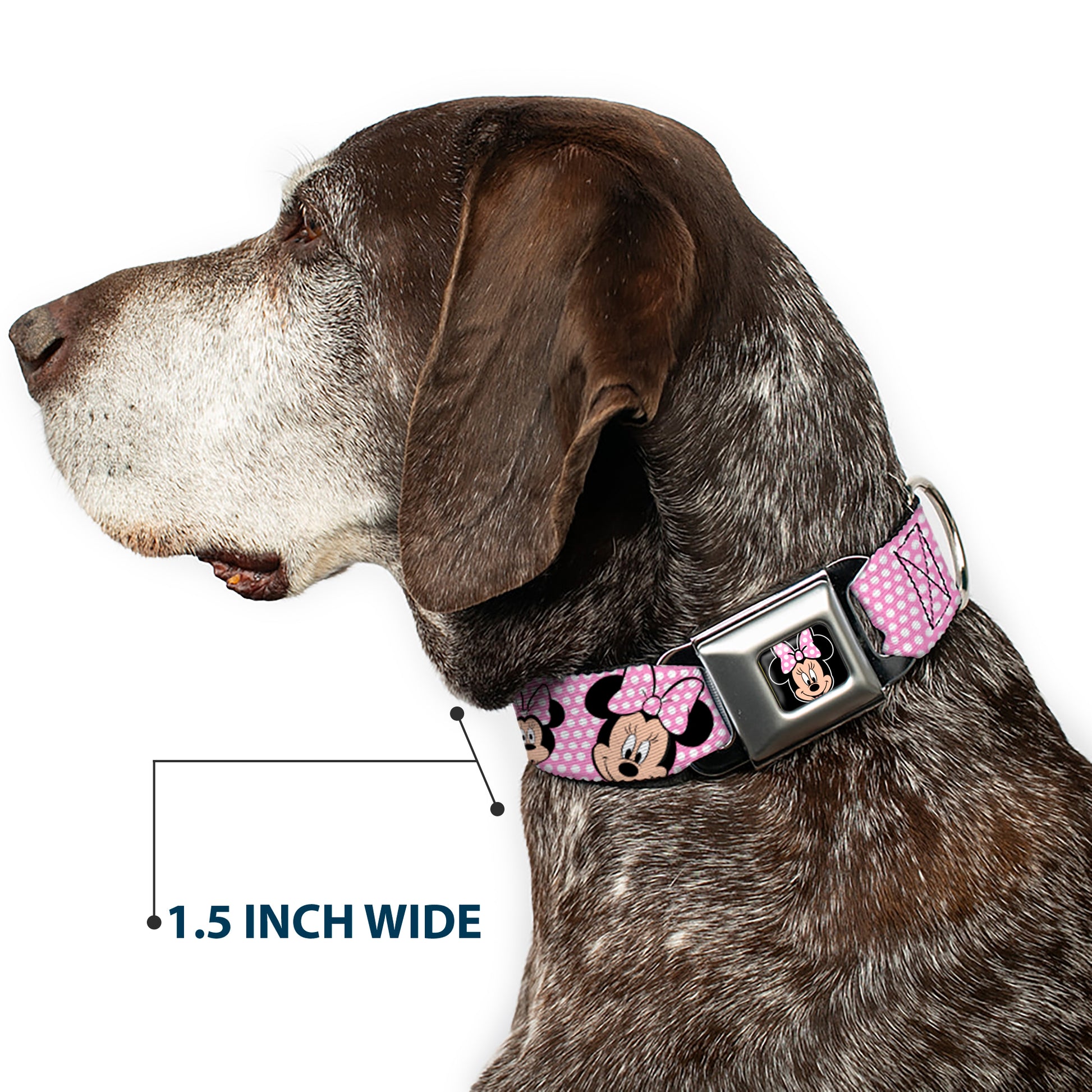 Minnie Mouse Full Color Face Pink Polka Dot Black Seatbelt Buckle Collar - Minnie Mouse Expressions Polka Dot Pink/White Seatbelt Buckle Collars Disney