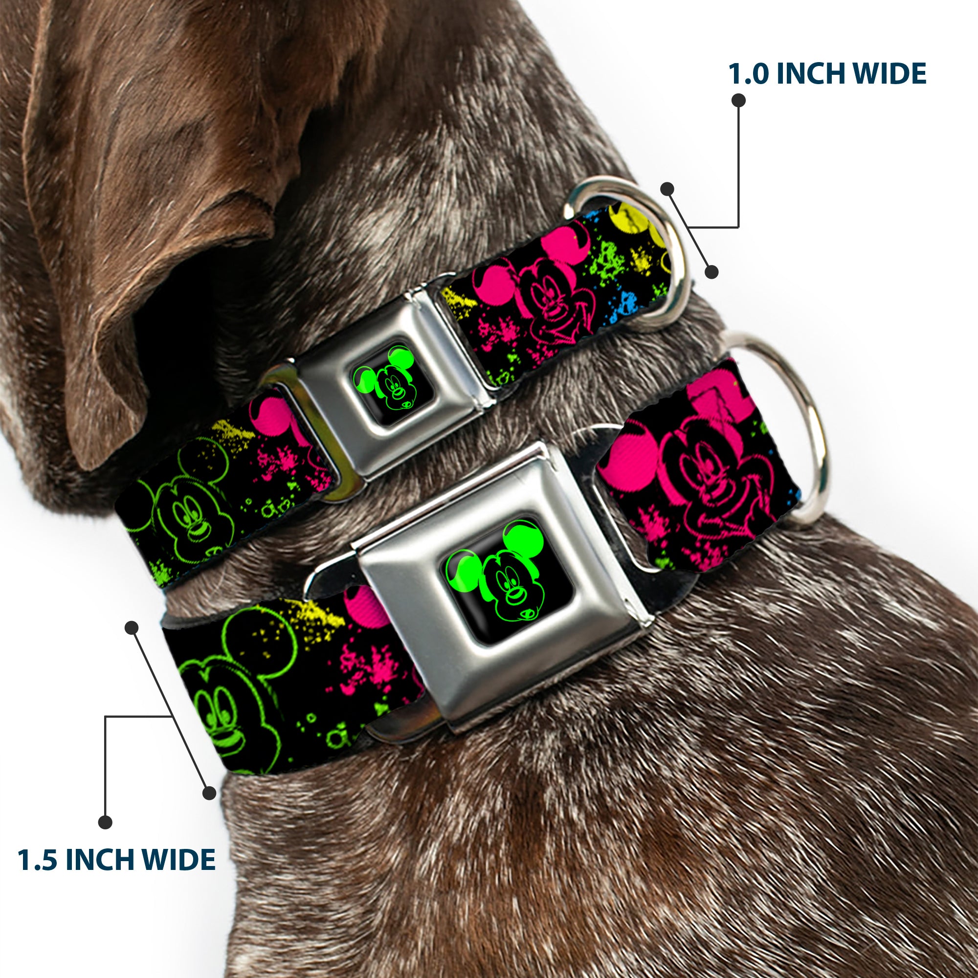 Mickey Mouse Expression1 Full Color Black/Neon Green Seatbelt Buckle Collar - Mickey Expressions/Paint Splatter Black/Multi Neon Seatbelt Buckle Collars Disney