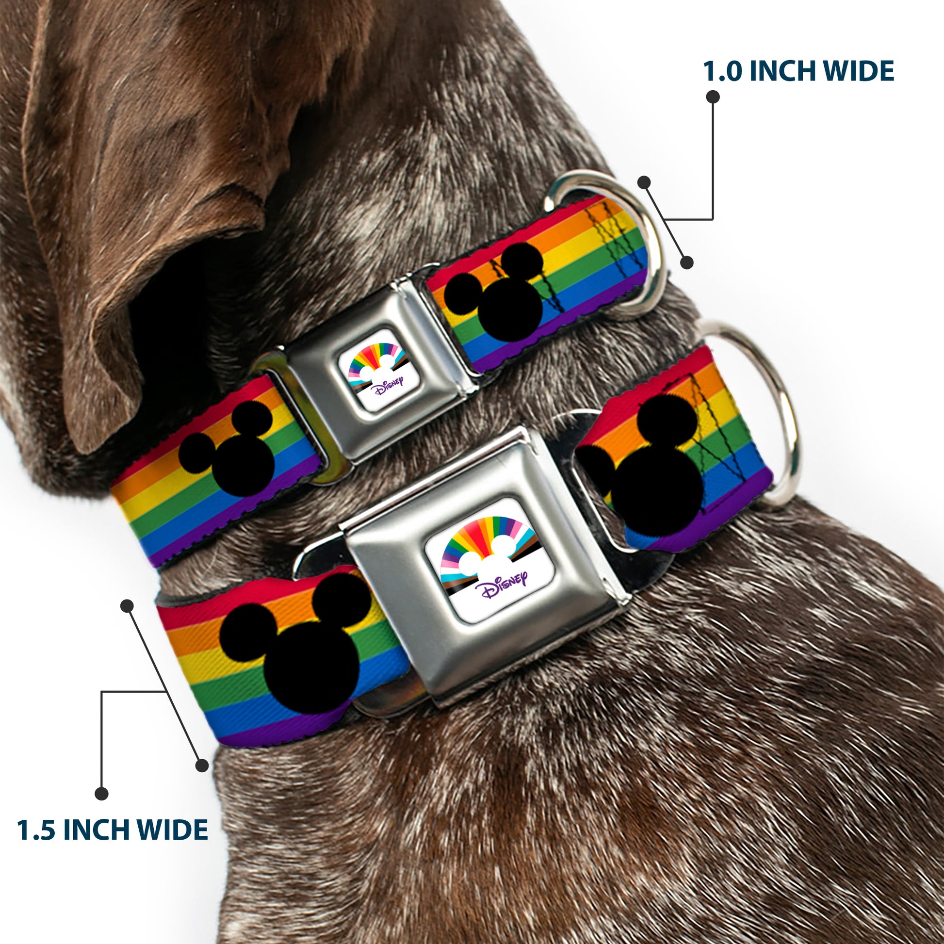 DISNEY Mickey Mouse Pride Ears Icon Full Color White/Multi Color Seatbelt Buckle Collar - Mickey Mouse Ears Icon Rainbow Pride Flag Seatbelt Buckle Collars Disney