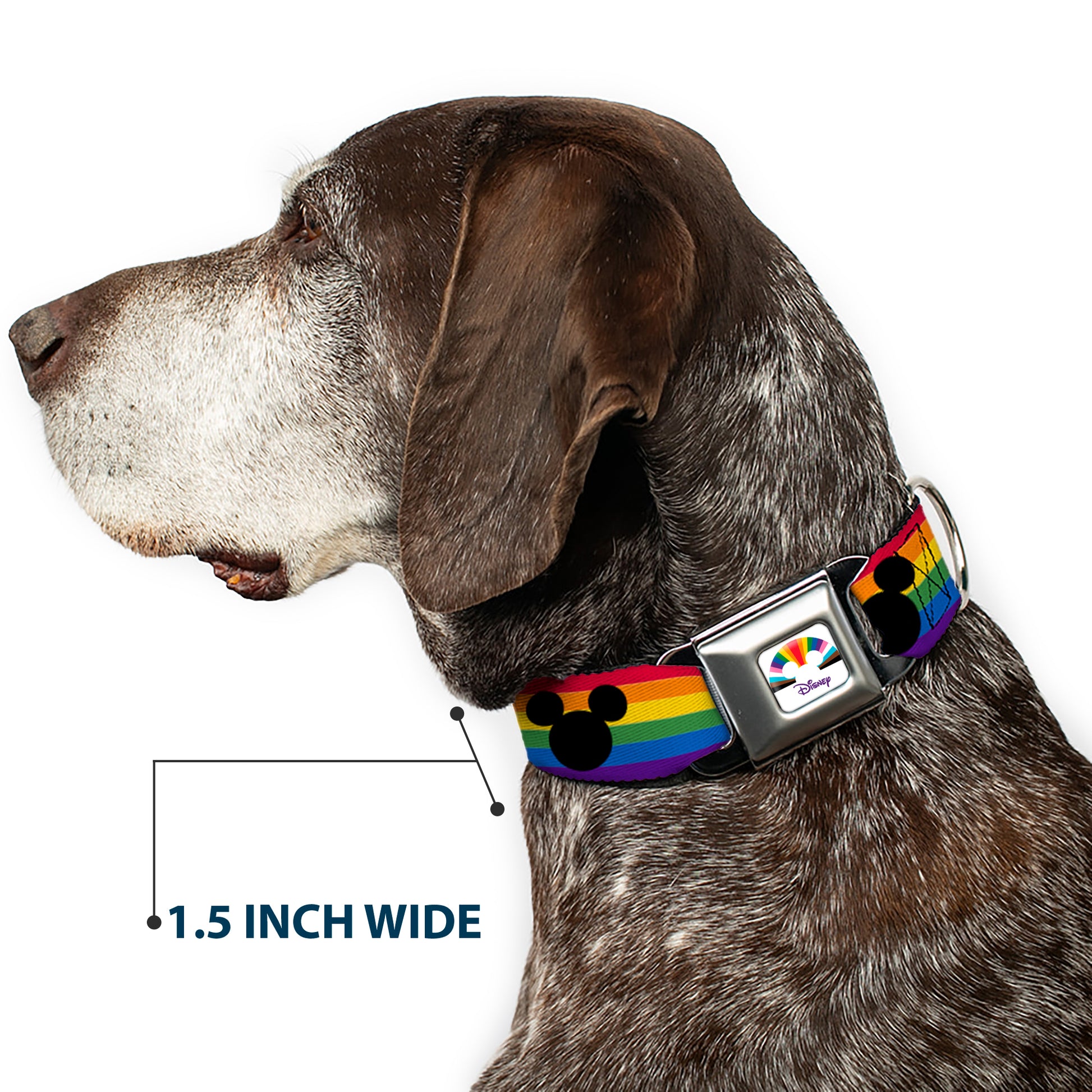 DISNEY Mickey Mouse Pride Ears Icon Full Color White/Multi Color Seatbelt Buckle Collar - Mickey Mouse Ears Icon Rainbow Pride Flag Seatbelt Buckle Collars Disney