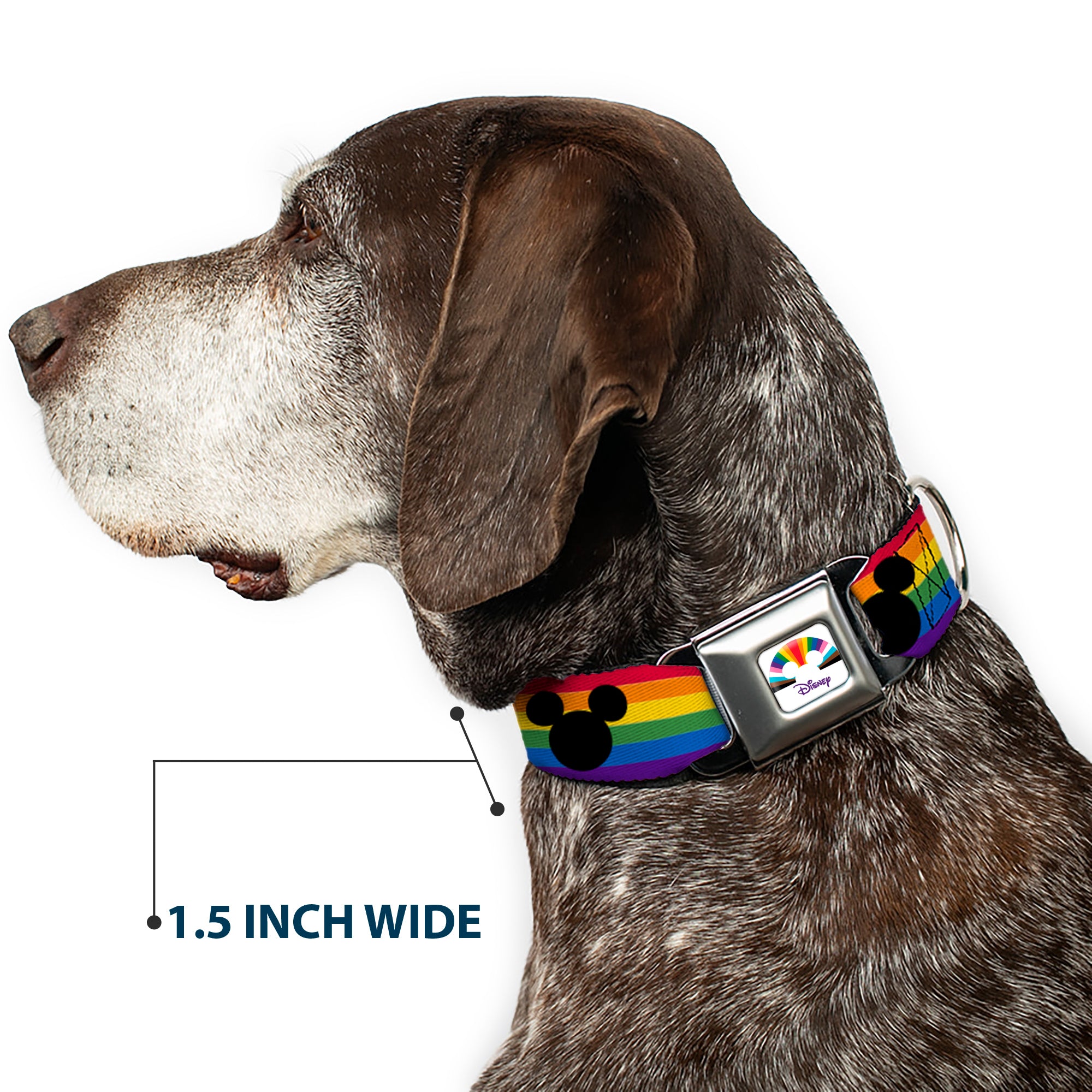 DISNEY Mickey Mouse Pride Ears Icon Full Color White/Multi Color Seatbelt Buckle Collar - Mickey Mouse Ears Icon Rainbow Pride Flag Seatbelt Buckle Collars Disney