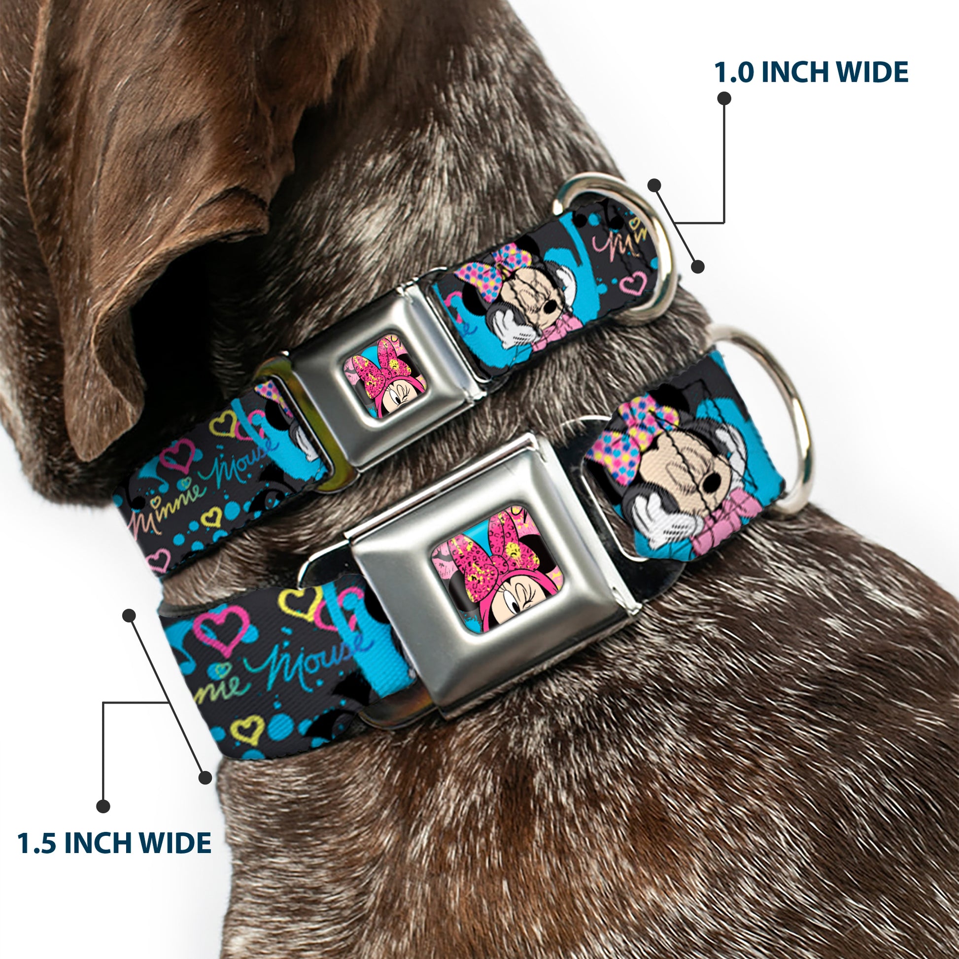 Minnie Mouse Winking CLOSE-UP Full Color Multi Color Seatbelt Buckle Collar - Minnie Mouse Hoody & Headphone Poses Gray/Multi Color Seatbelt Buckle Collars Disney