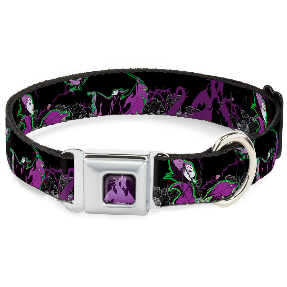 Dragon Maleficent Full Color Black Purple Seatbelt Buckle Collar - Maleficent & Diablo Black Roses/Purples Seatbelt Buckle Collars Disney