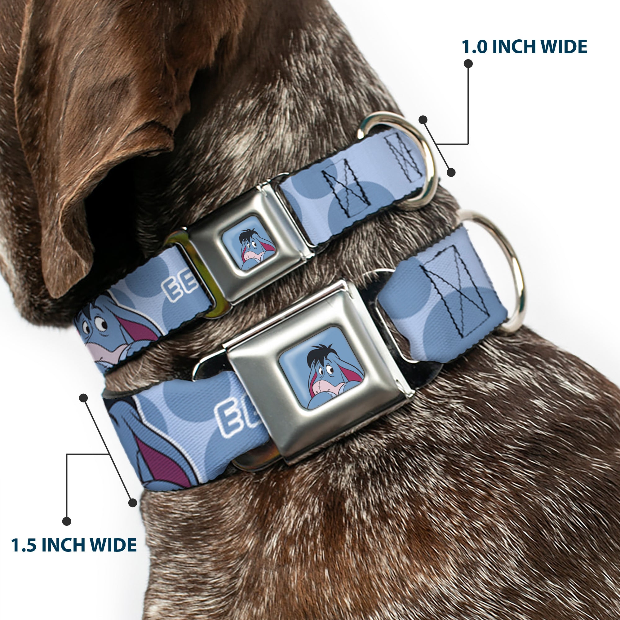 Winnie the Pooh Eeyore Expression Close-Up Blue Seatbelt Buckle Collar - Winnie the Pooh Eeyore Text and Expression Close-Up Dot Blues Seatbelt Buckle Collars Disney