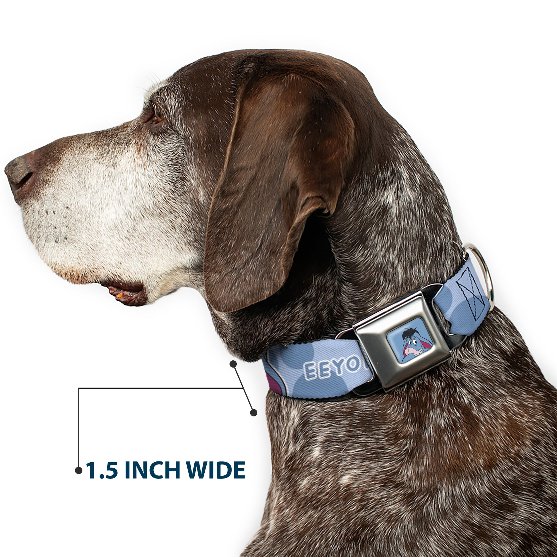 Winnie the Pooh Eeyore Expression Close-Up Blue Seatbelt Buckle Collar - Winnie the Pooh Eeyore Text and Expression Close-Up Dot Blues Seatbelt Buckle Collars Disney