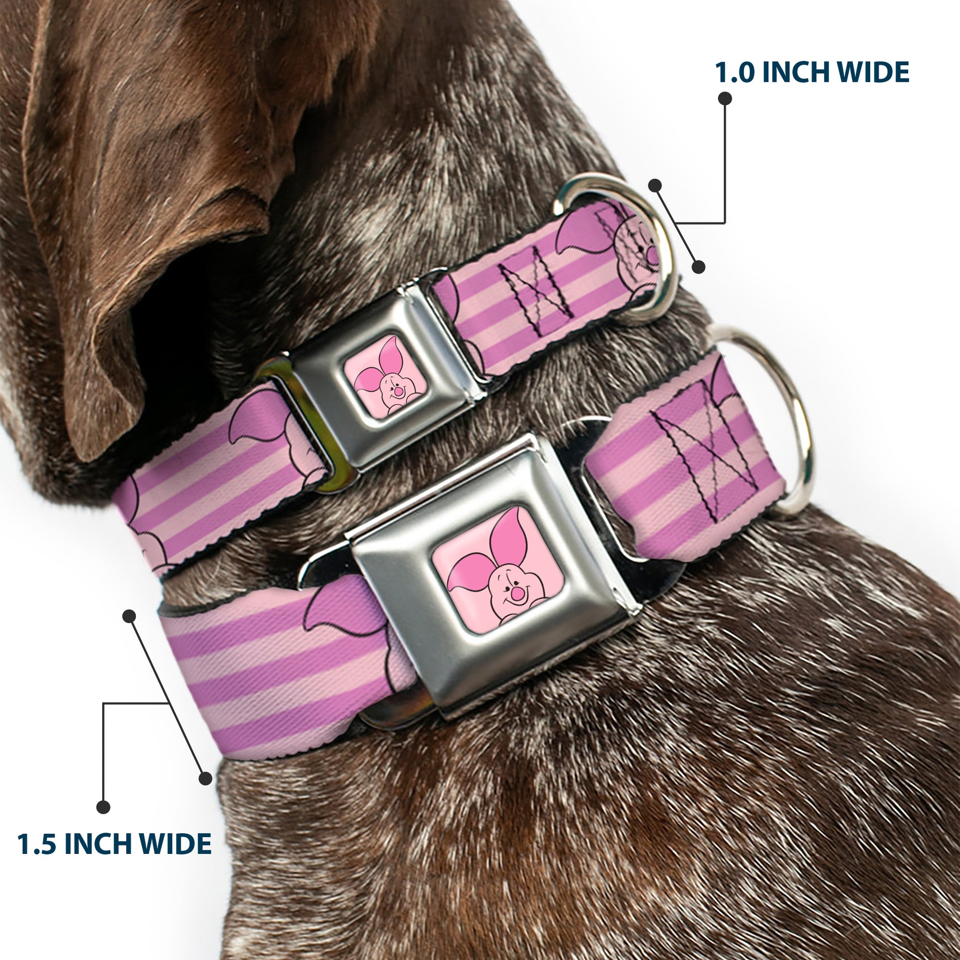 Winnie the Pooh Piglet Expression Close-Up Pink Seatbelt Buckle Collar - Winnie the Pooh Piglet Expression Close-Up Stripe Pinks Seatbelt Buckle Collars Disney